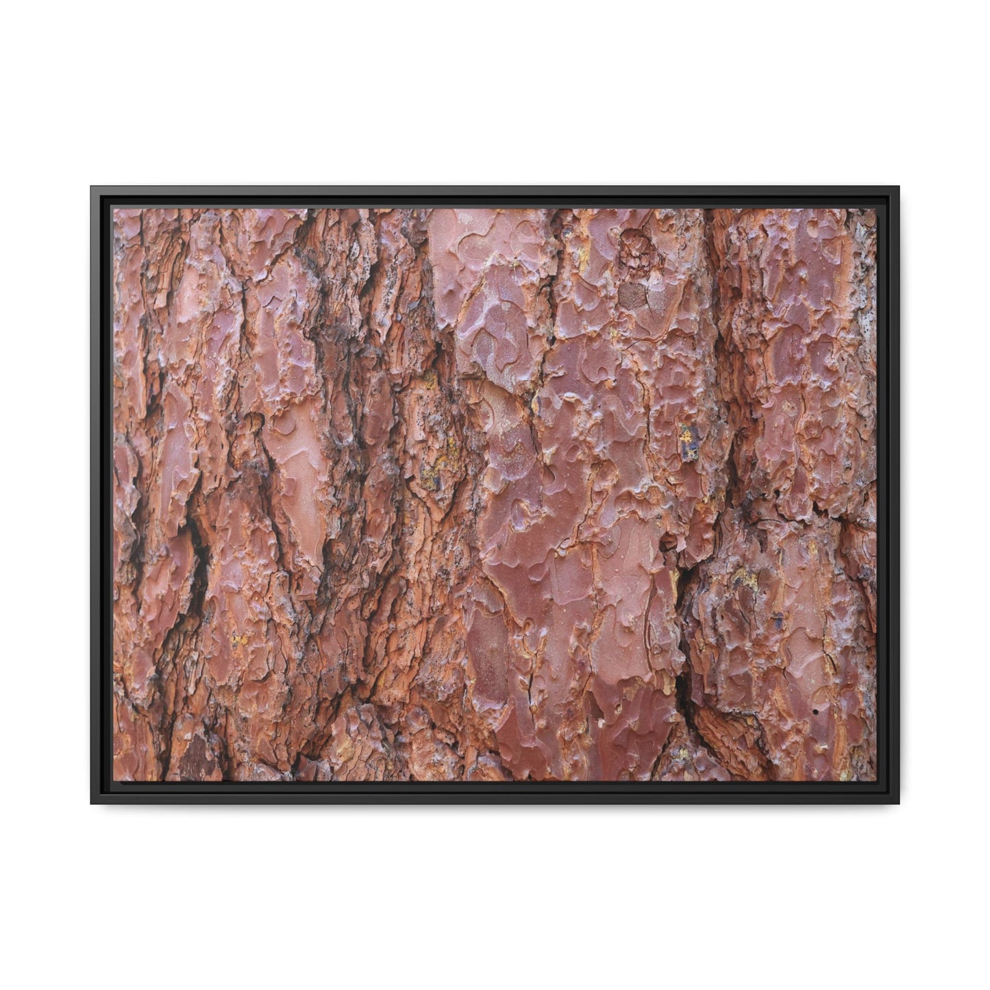 Russet Ridges - Unique Stretched Canvas Wall Art