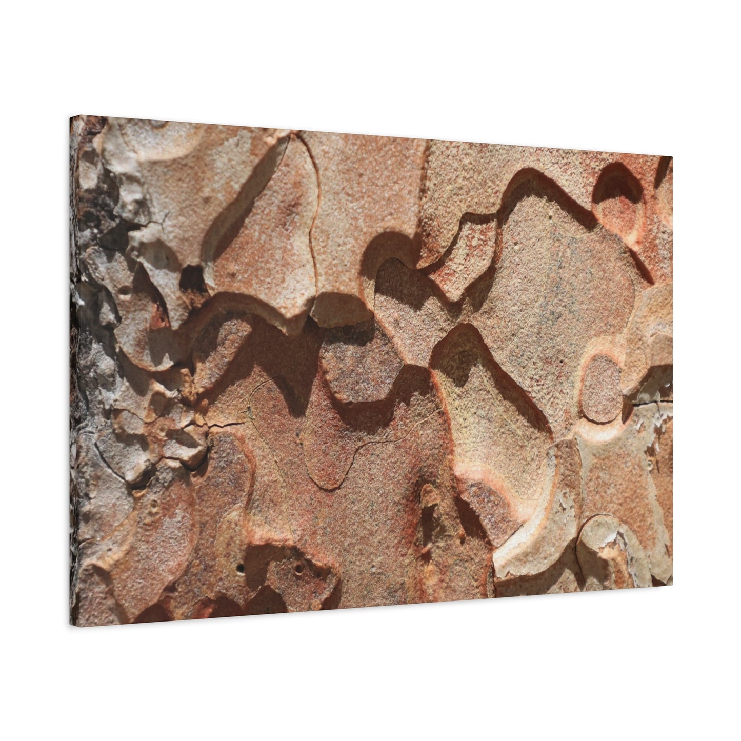 Terracotta Echoes - Unique Frameless Canvas Wall Art