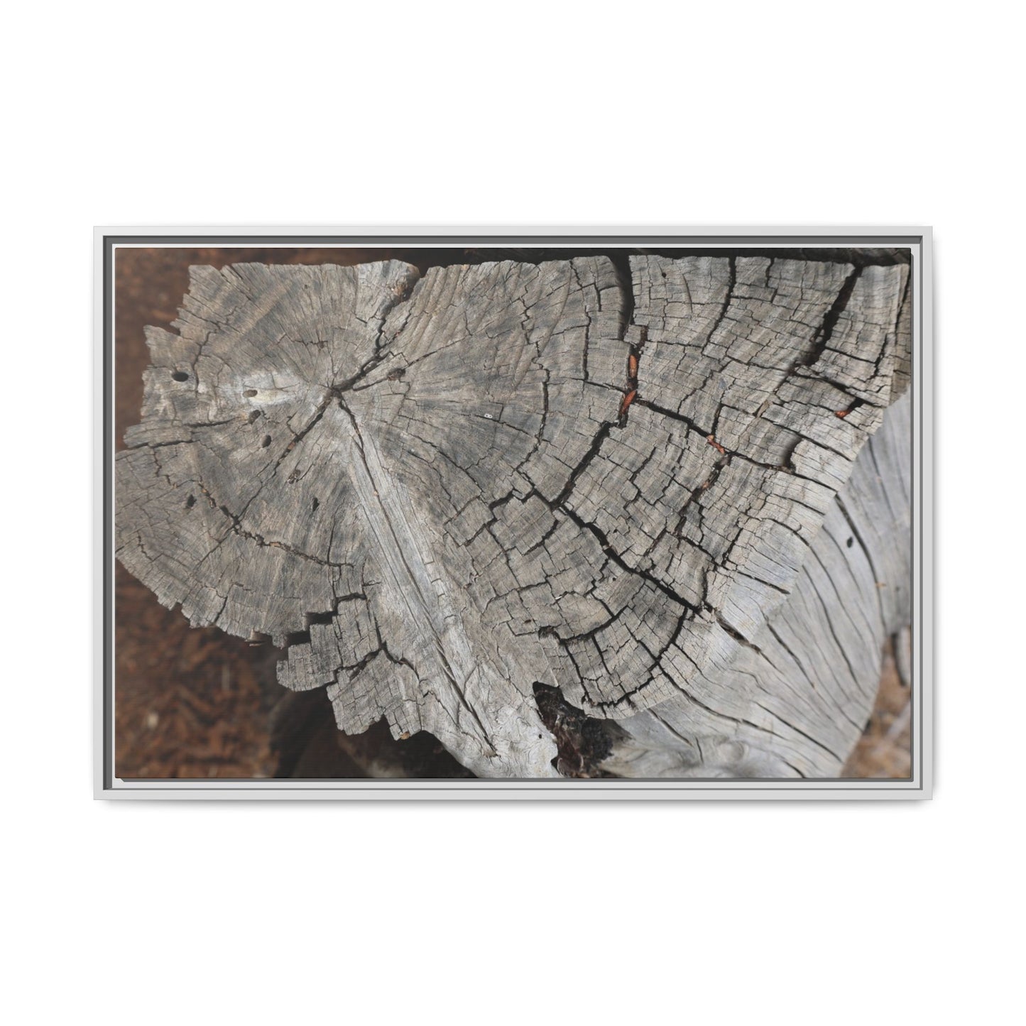 Time's Signature - Unique Stretched Canvas Wall Art