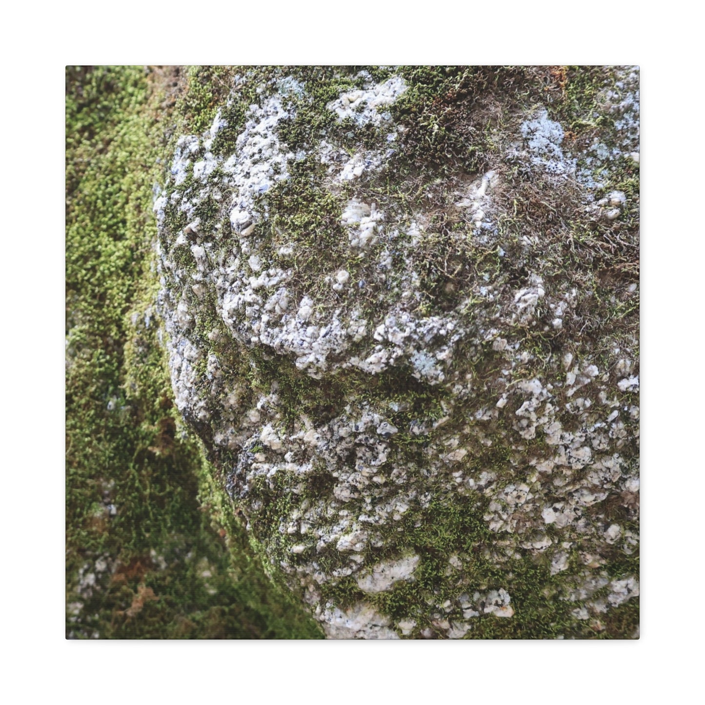 Moss and Stone Whispers - Unique Frameless Canvas Wall Art