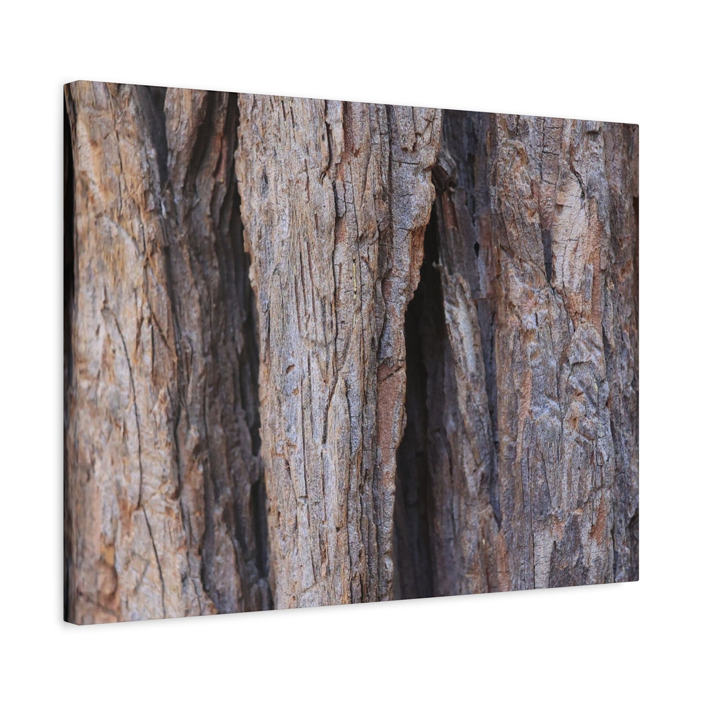 Fractal Skin - Unique Frameless Canvas Wall Art