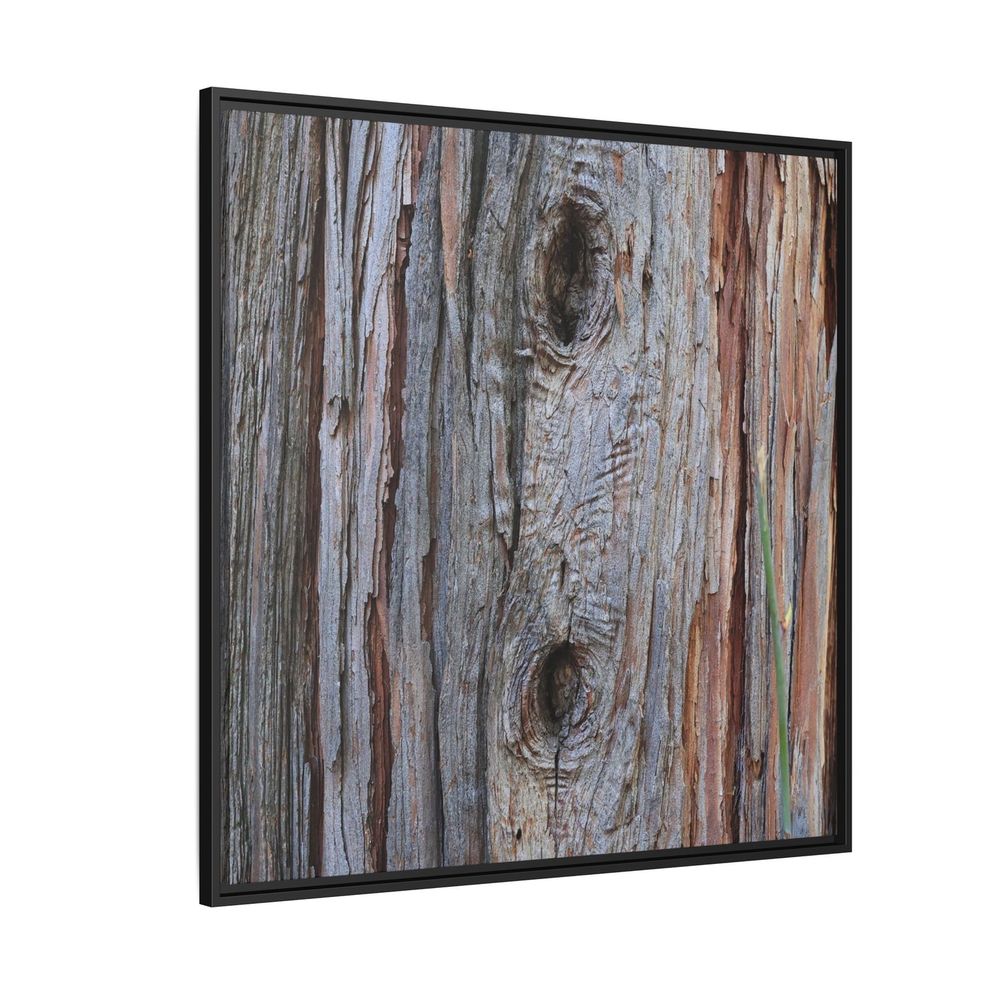 Knotty Nature - Unique Stretched Canvas Wall Art