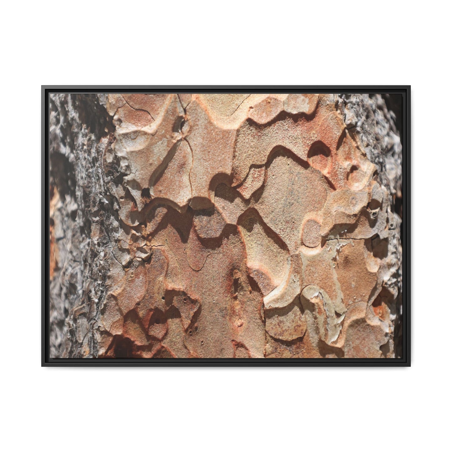 Rust and Stone - Unique Stretched Canvas Wall Art