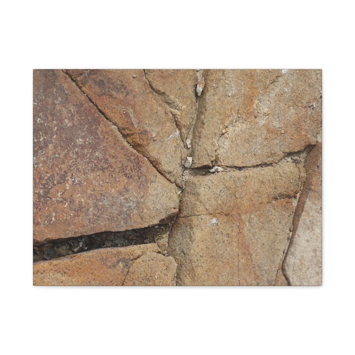Cracked Earth's Canvas - Unique Frameless Canvas Wall Art