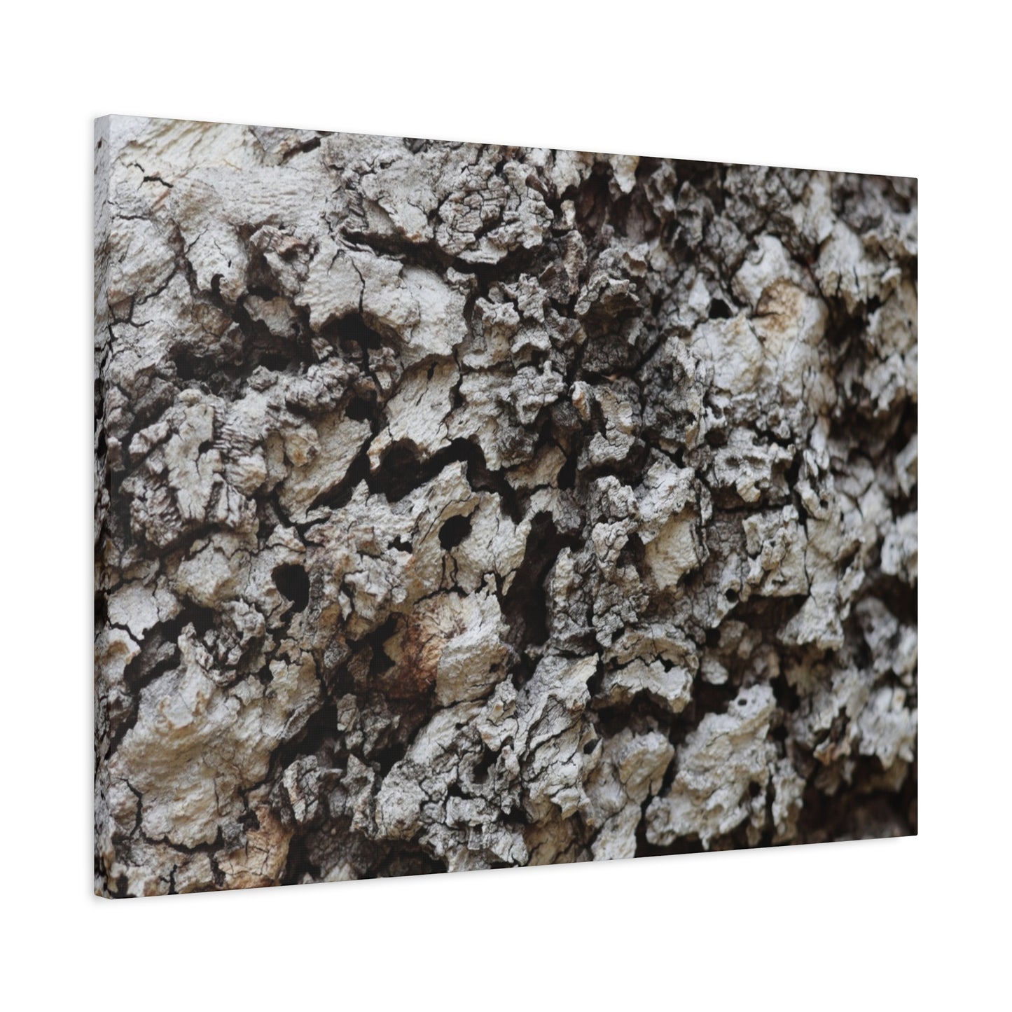 Cracked Earth Tapestry - Unique Frameless Canvas Wall Art