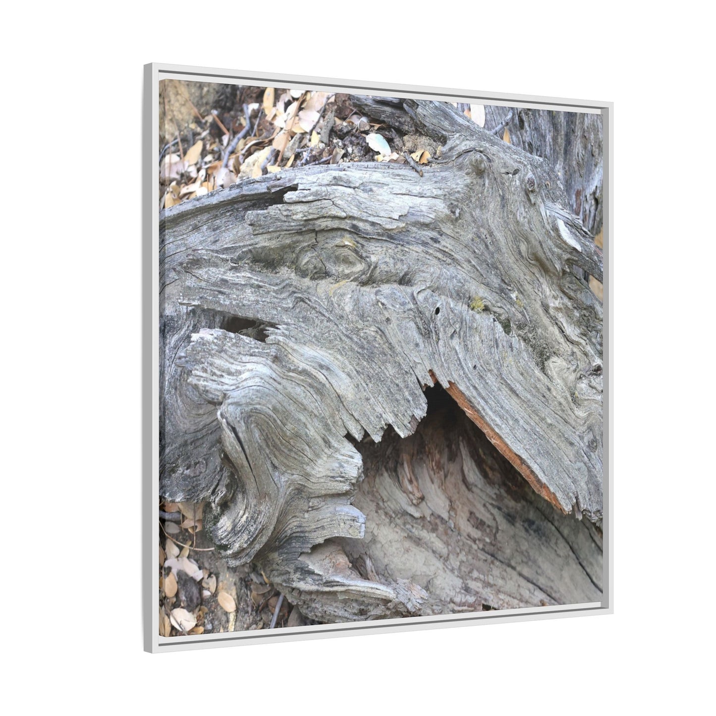 Driftwood Dreams - Unique Stretched Canvas Wall Art