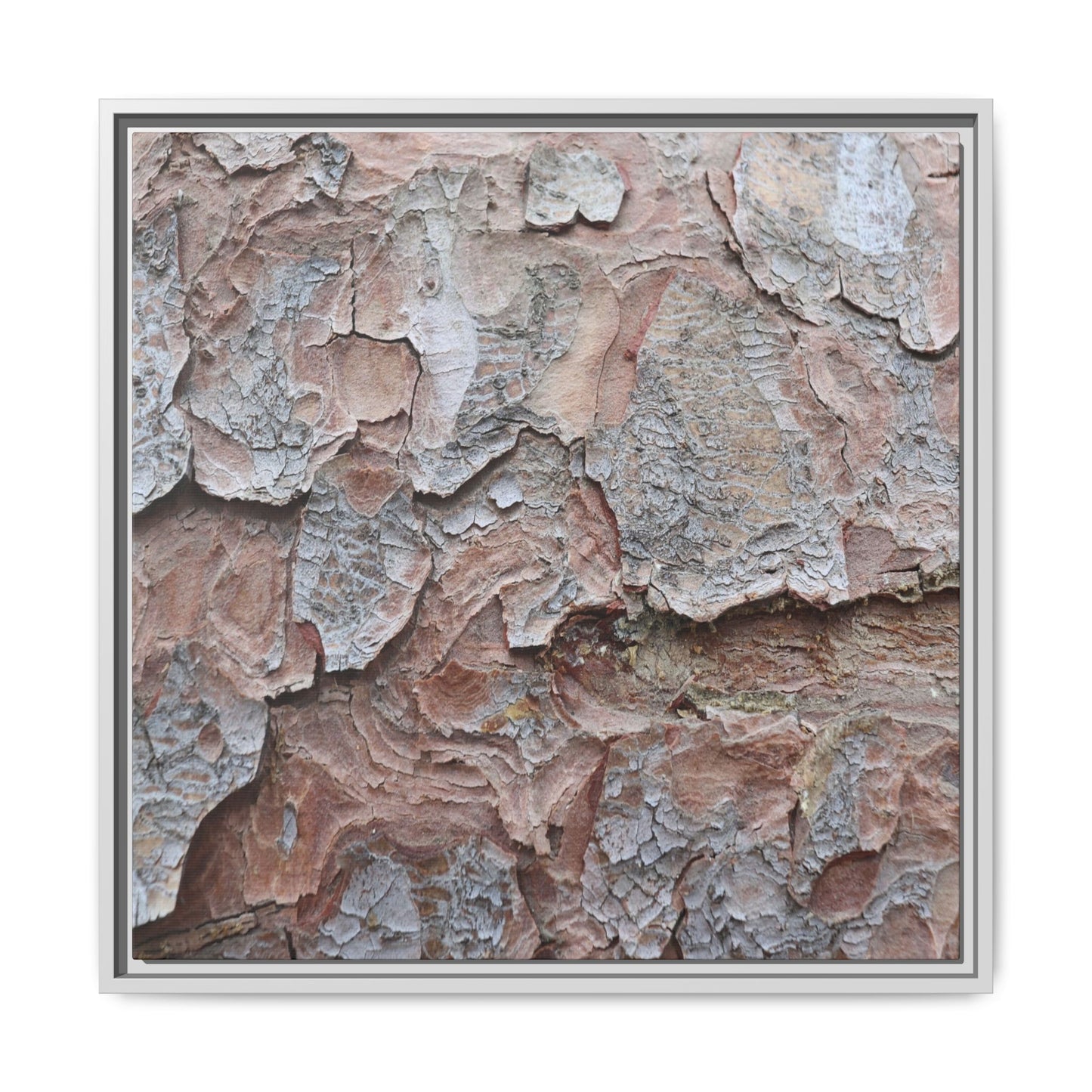Flaking Serenity - Unique Stretched Canvas Wall Art