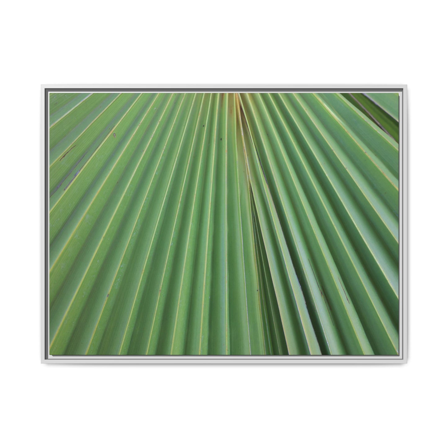 Verdant Veins - Unique Stretched Canvas Wall Art