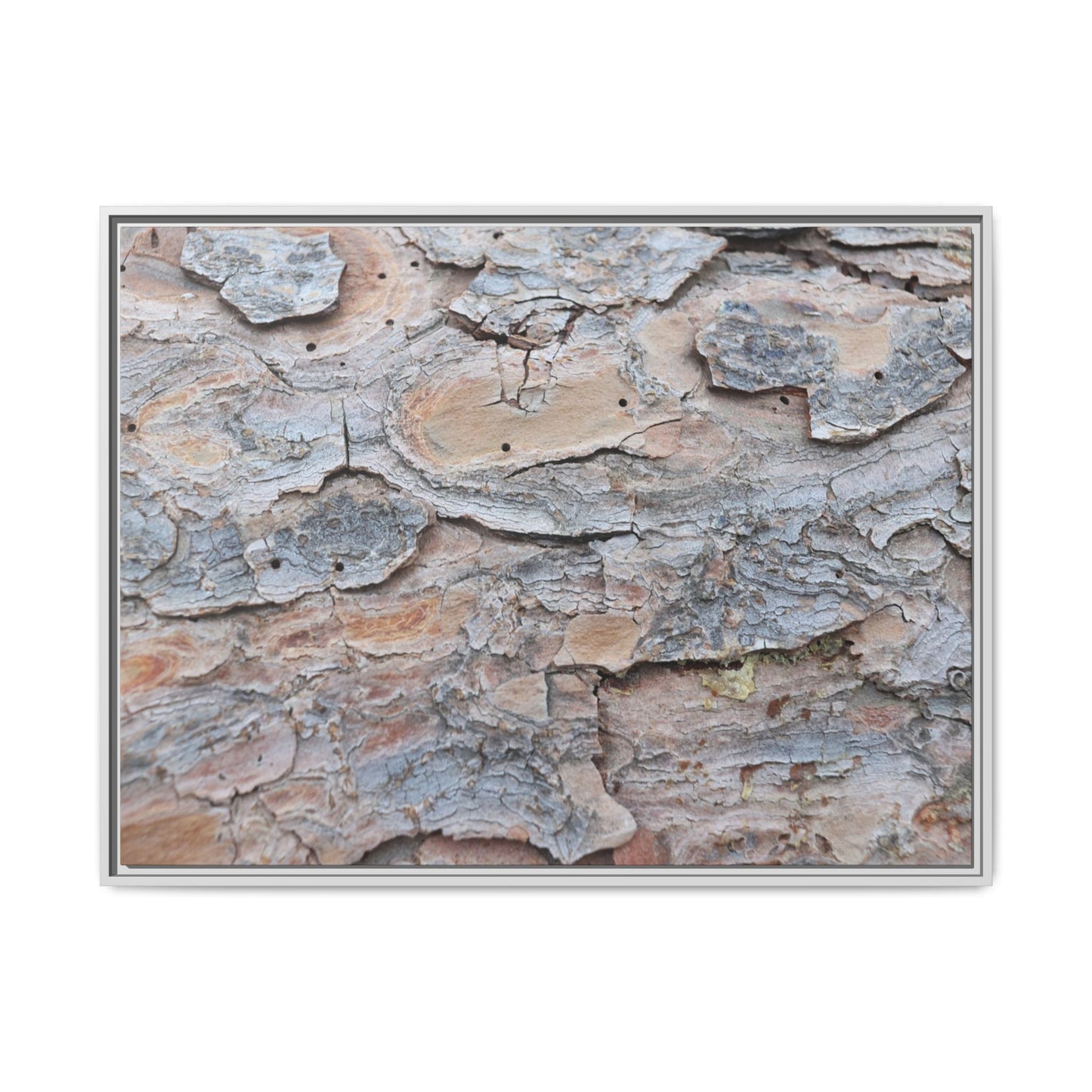Peeling Memories - Unique Stretched Canvas Wall Art