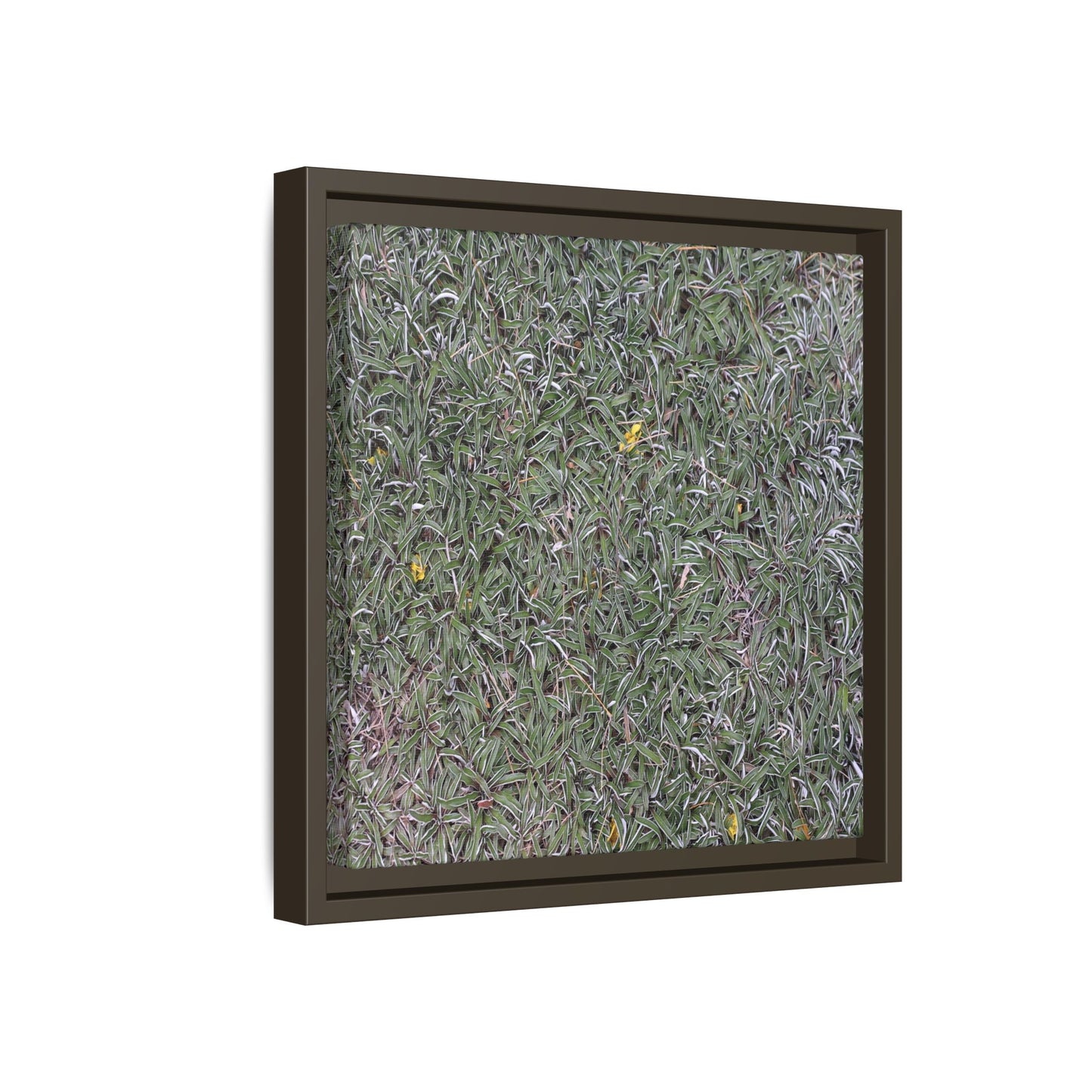 Grassy Texture - Unique Stretched Canvas Wall Art