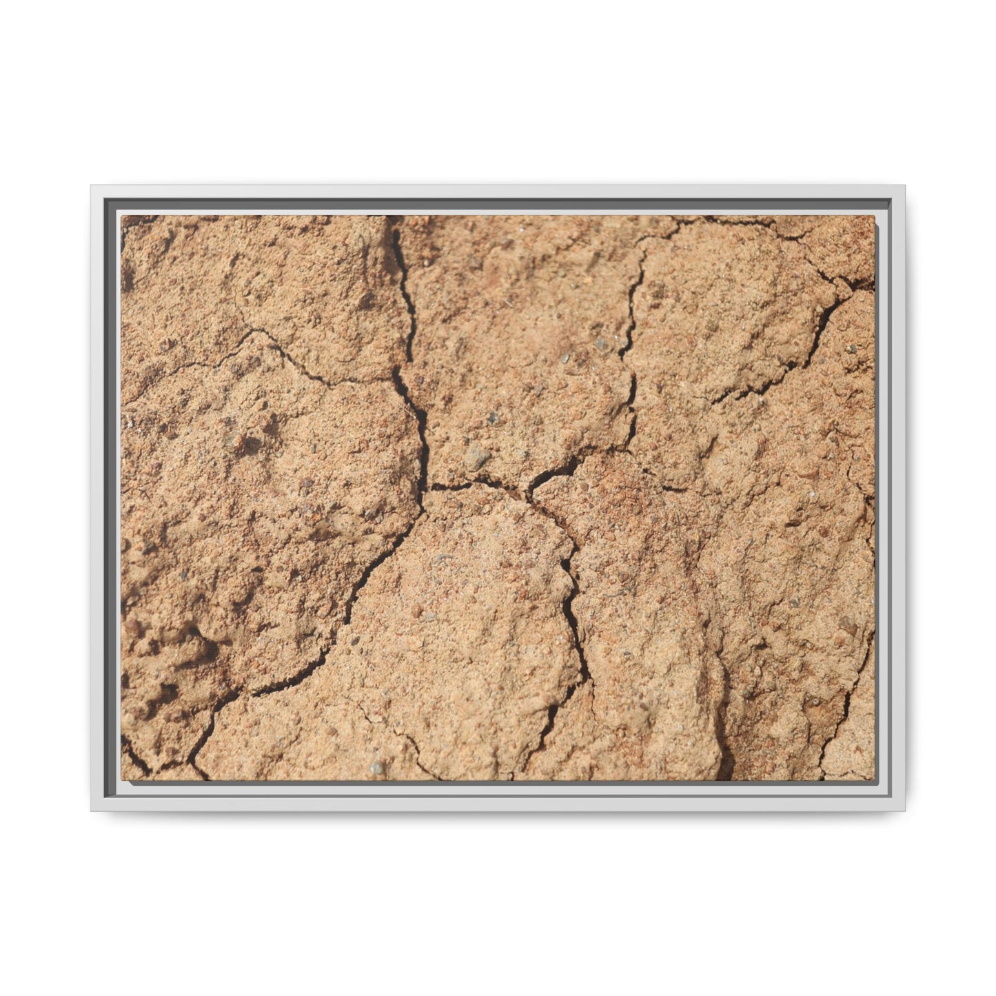Parched Land - Unique Stretched Canvas Wall Art