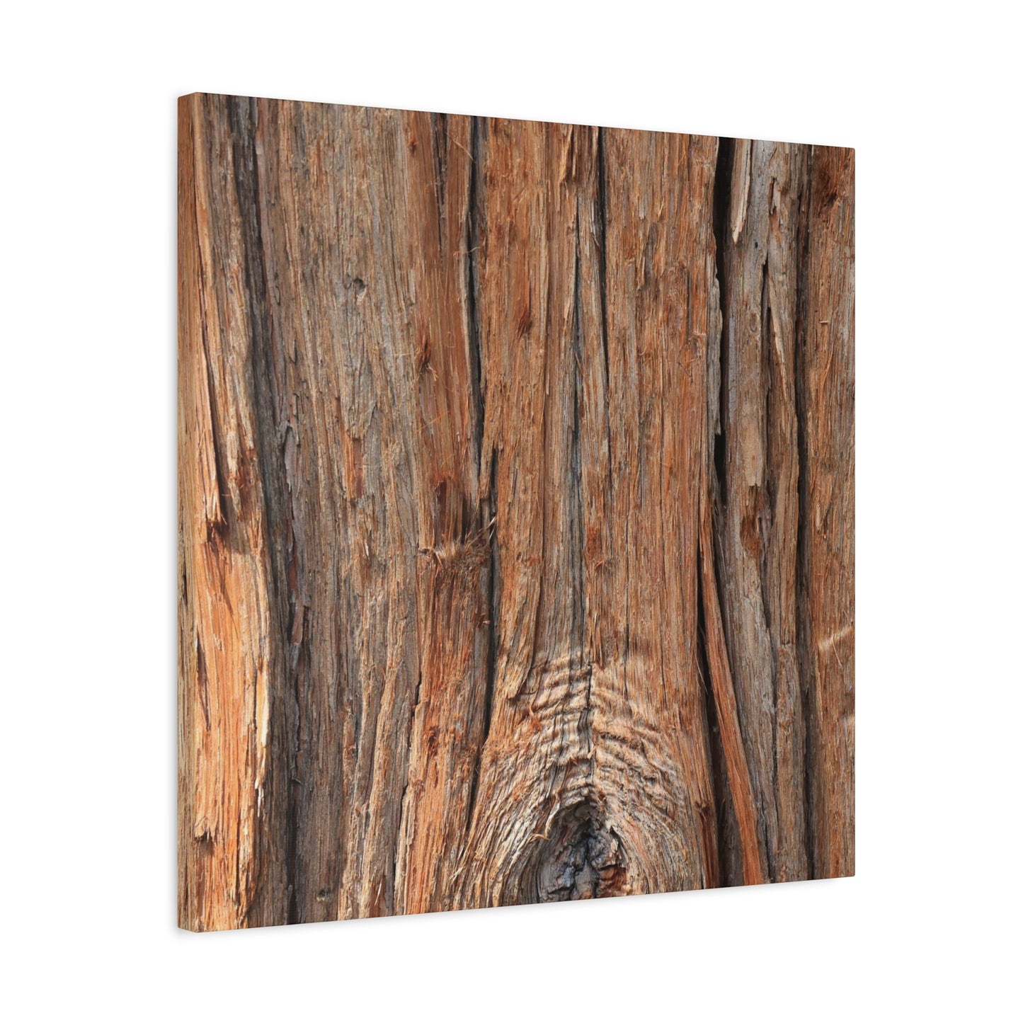 Bark's Ancient Whispers - Unique Frameless Canvas Wall Art