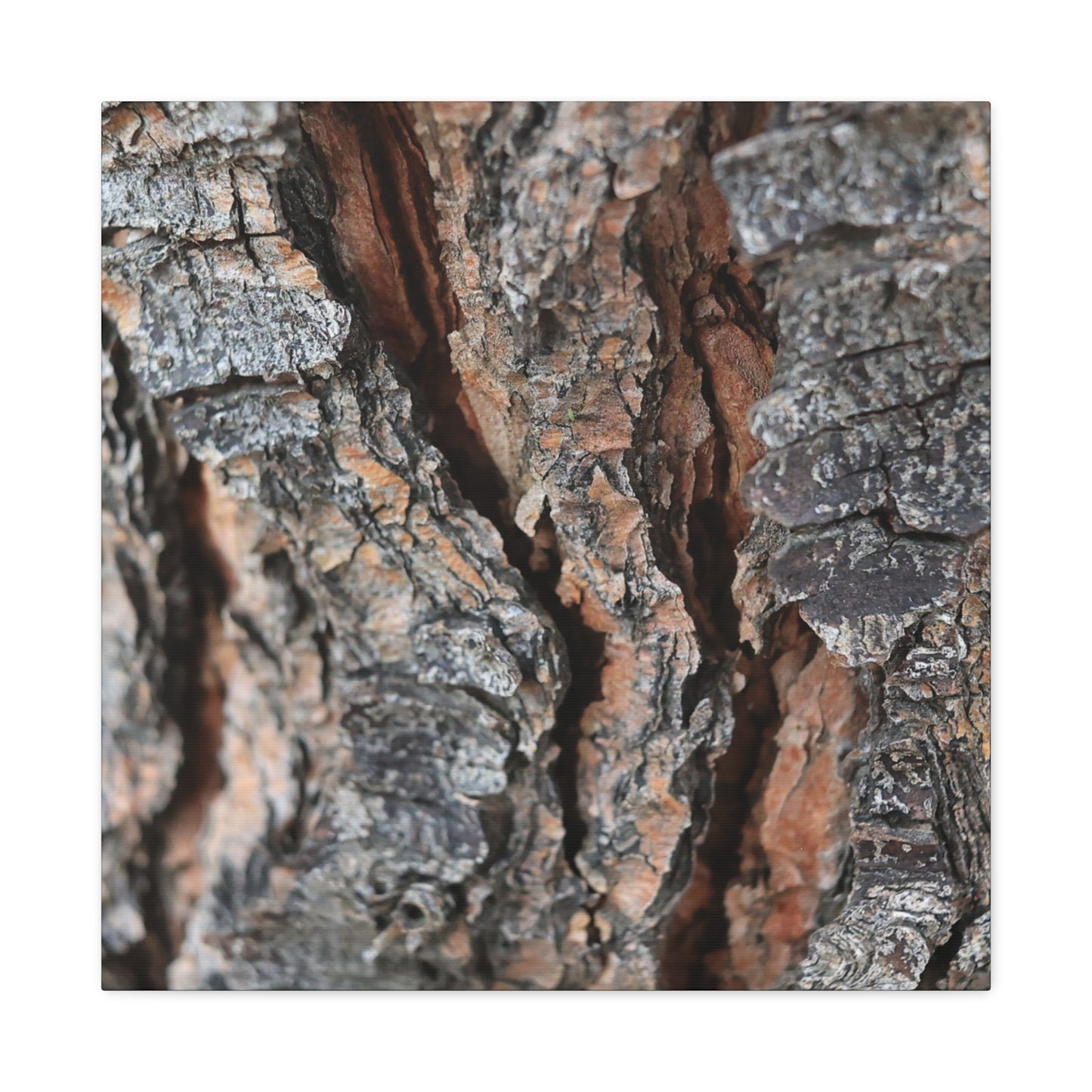 Rough Whispers - Unique Frameless Canvas Wall Art