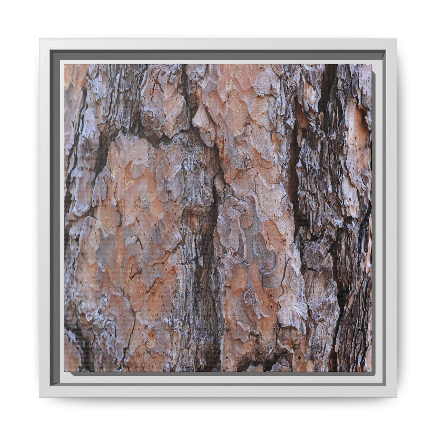 Tree Skin Symphony - Unique Stretched Canvas Wall Art