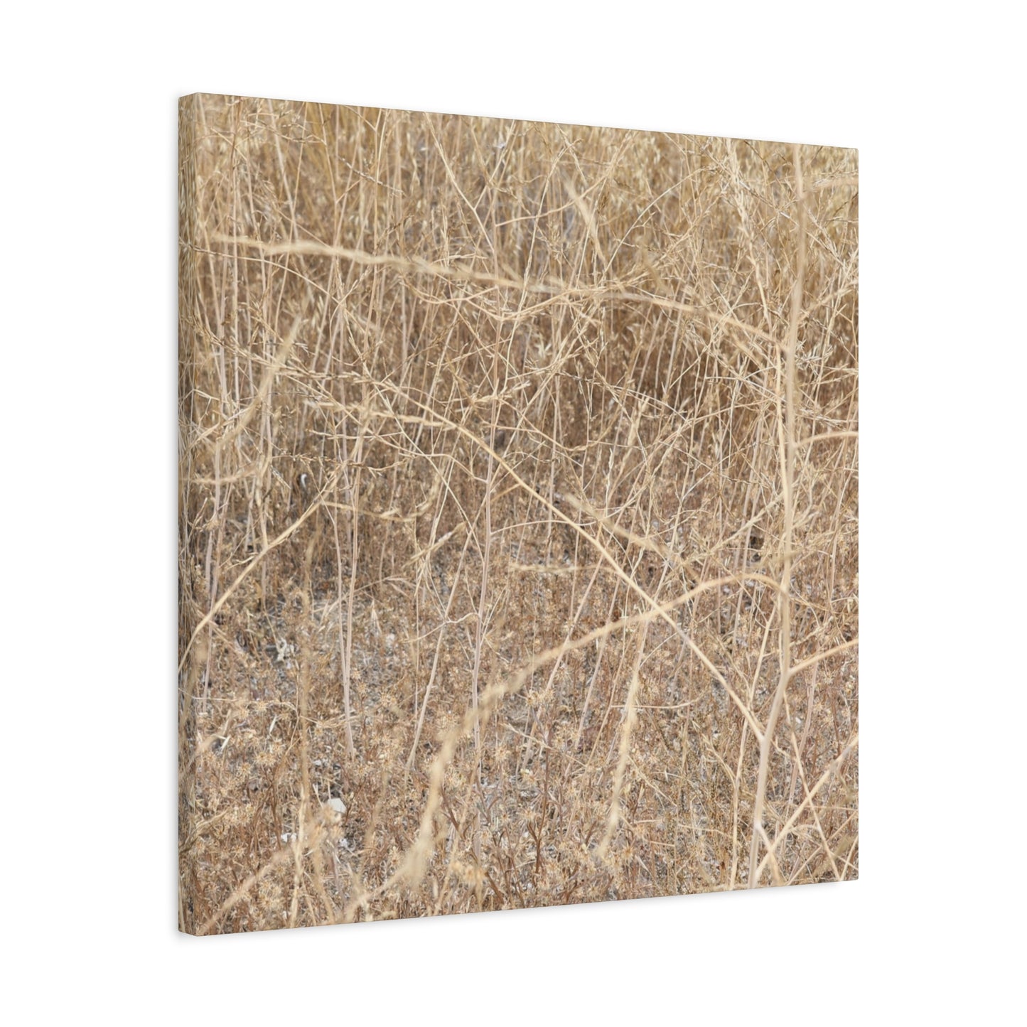 Dry Echoes - Unique Frameless Canvas Wall Art
