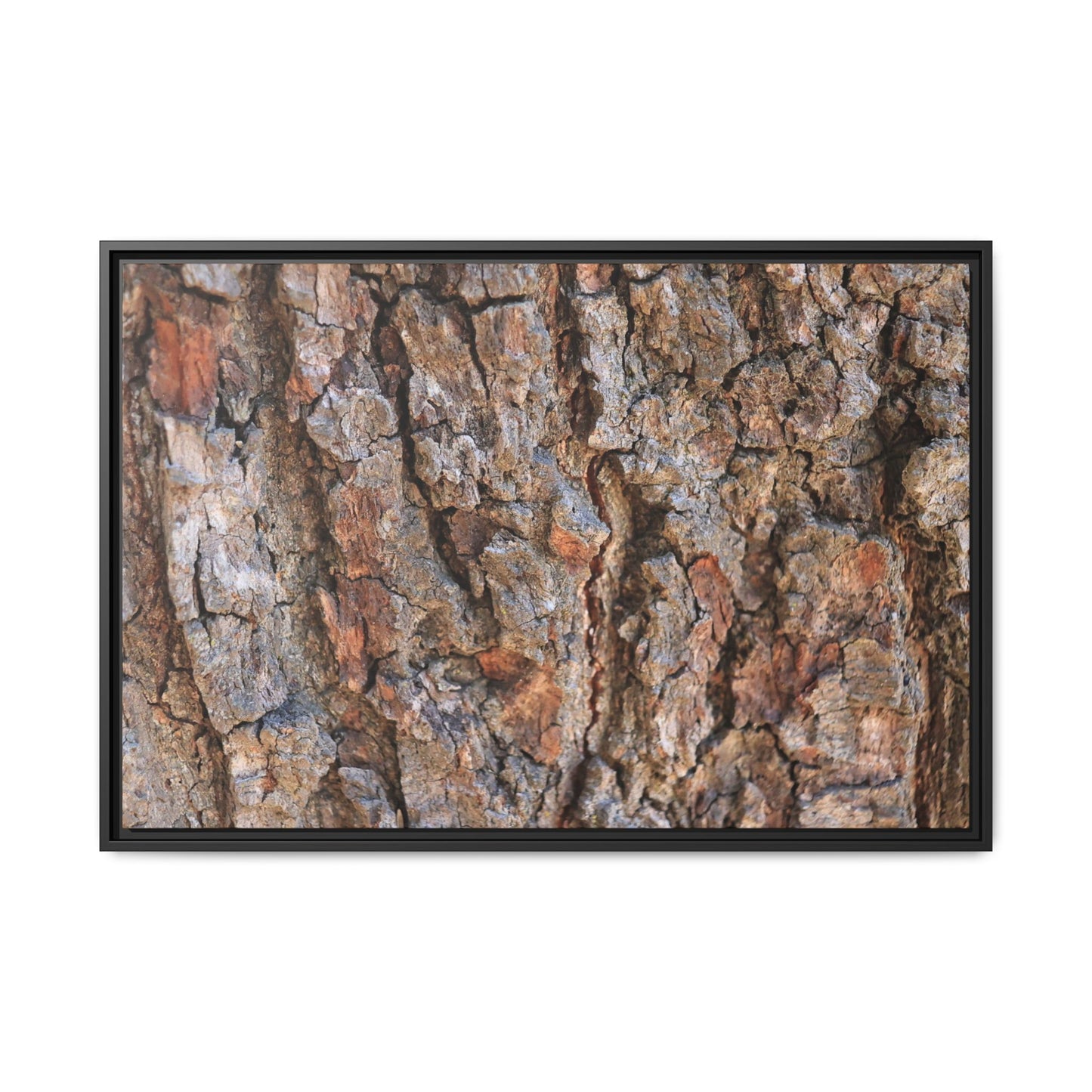 Tree's Timeworn Tale - Unique Stretched Canvas Wall Art