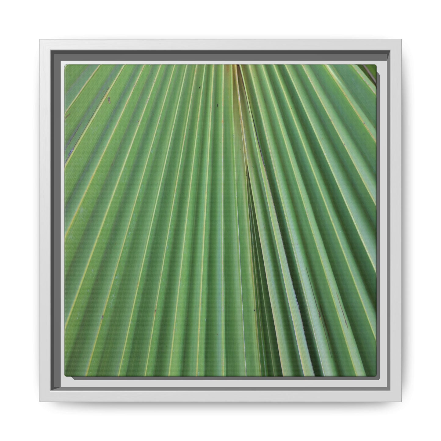 Verdant Veins - Unique Stretched Canvas Wall Art