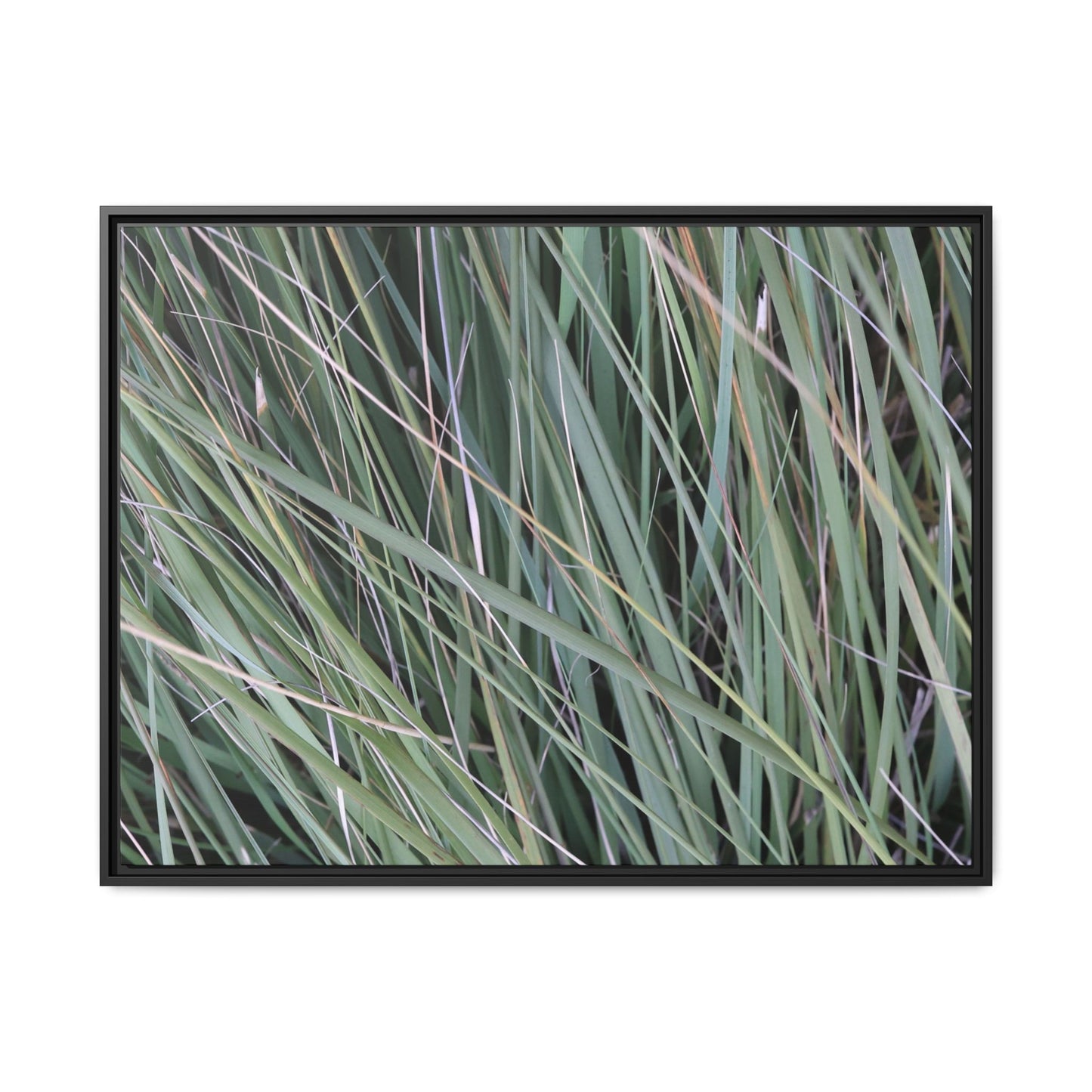 Grassland Symphony - Unique Stretched Canvas Wall Art