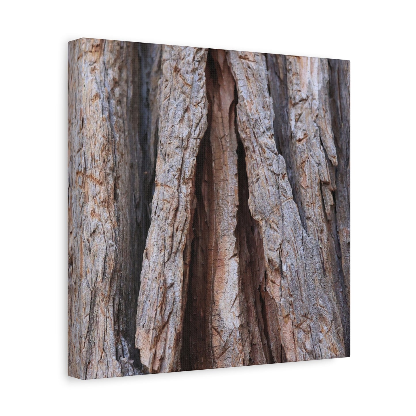 Fractured Skin of Time - Unique Frameless Canvas Wall Art
