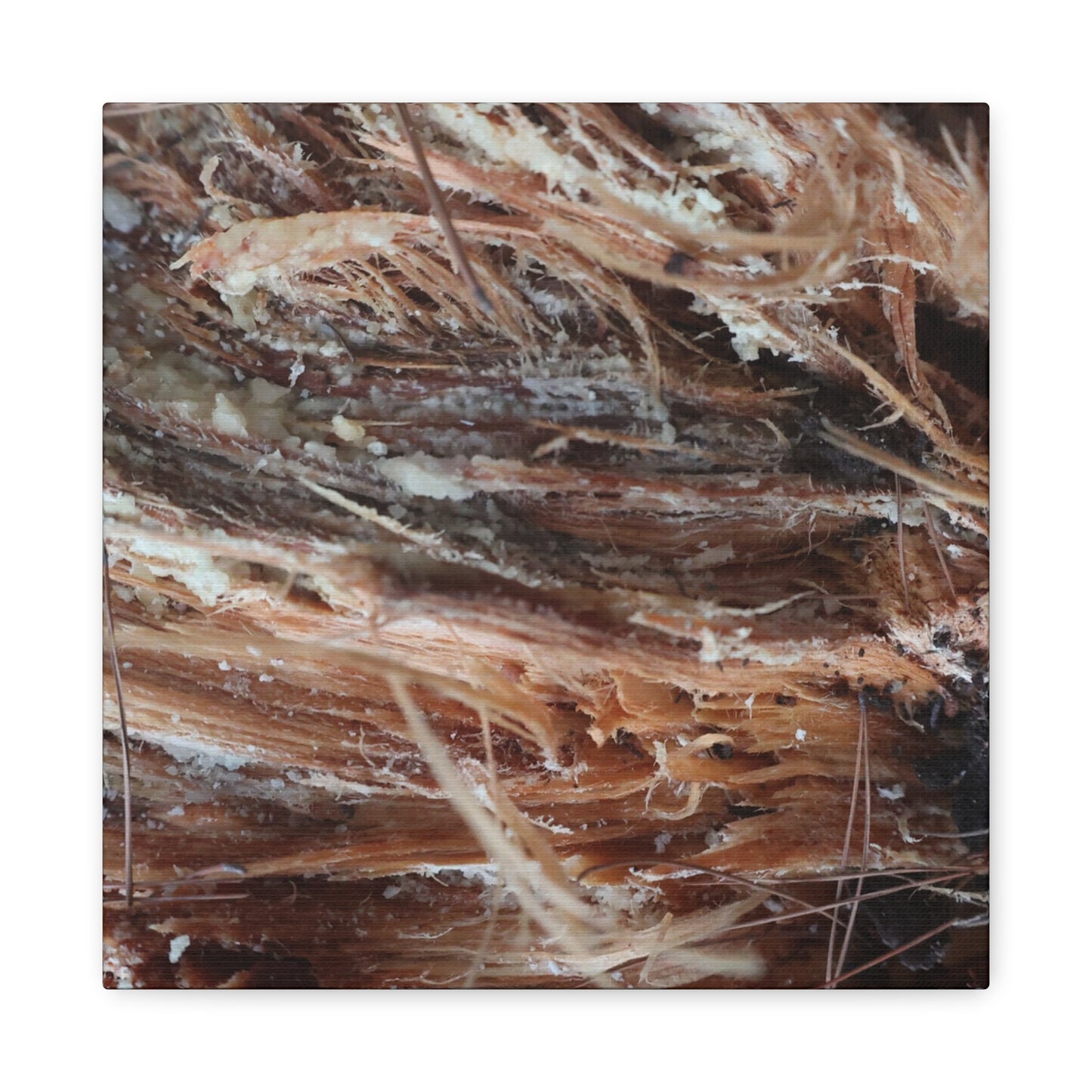 Decaying Whispers - Unique Frameless Canvas Wall Art