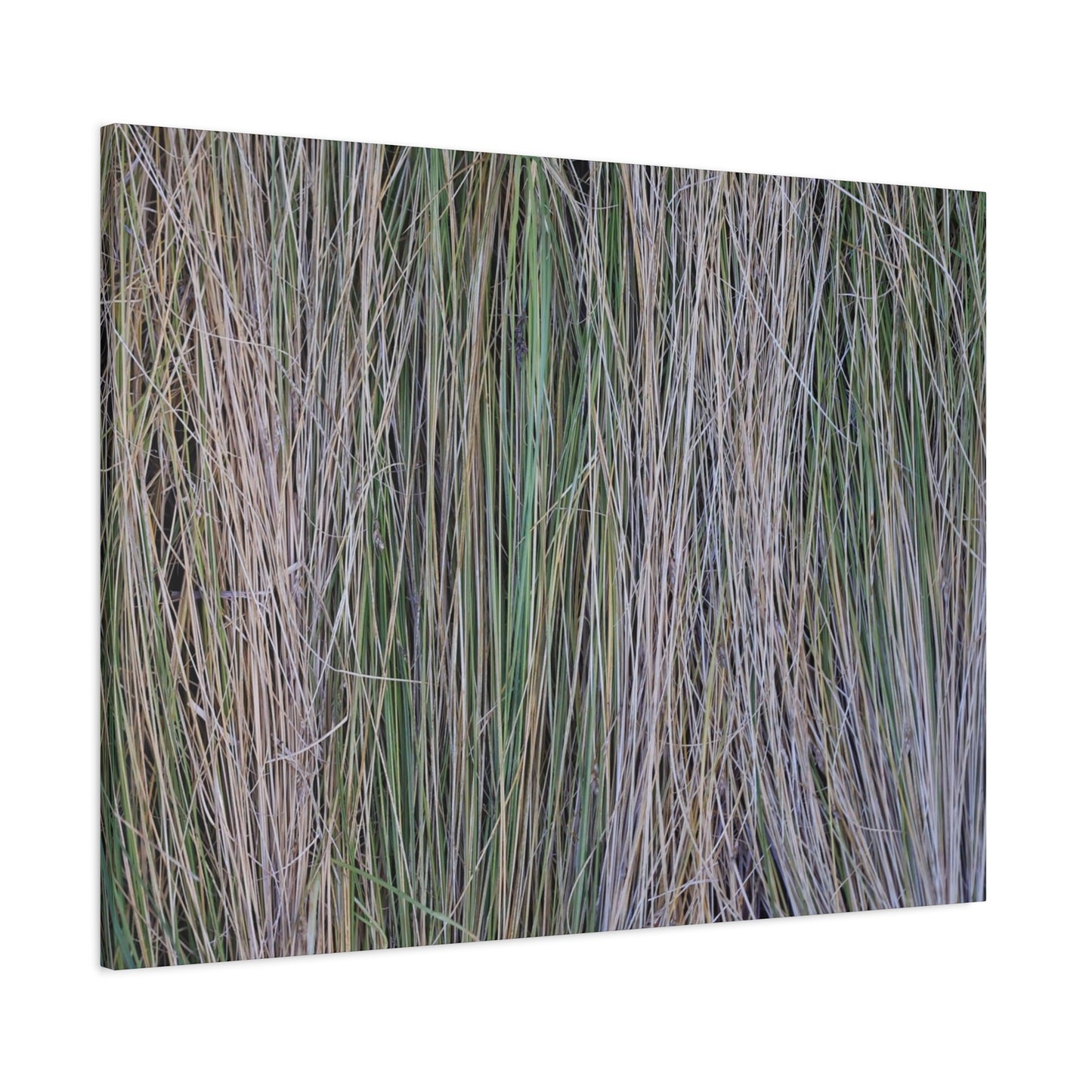 Whispers of Grass - Unique Frameless Canvas Wall Art