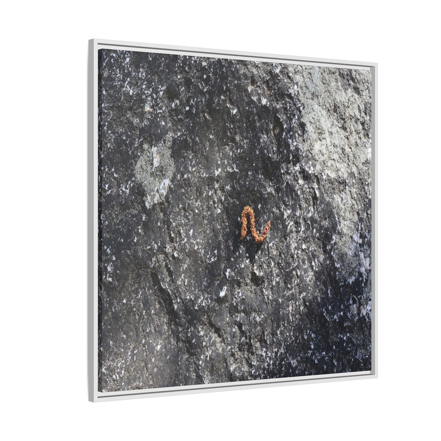 Volcanic Ash and Copper - Unique Stretched Canvas Wall Art