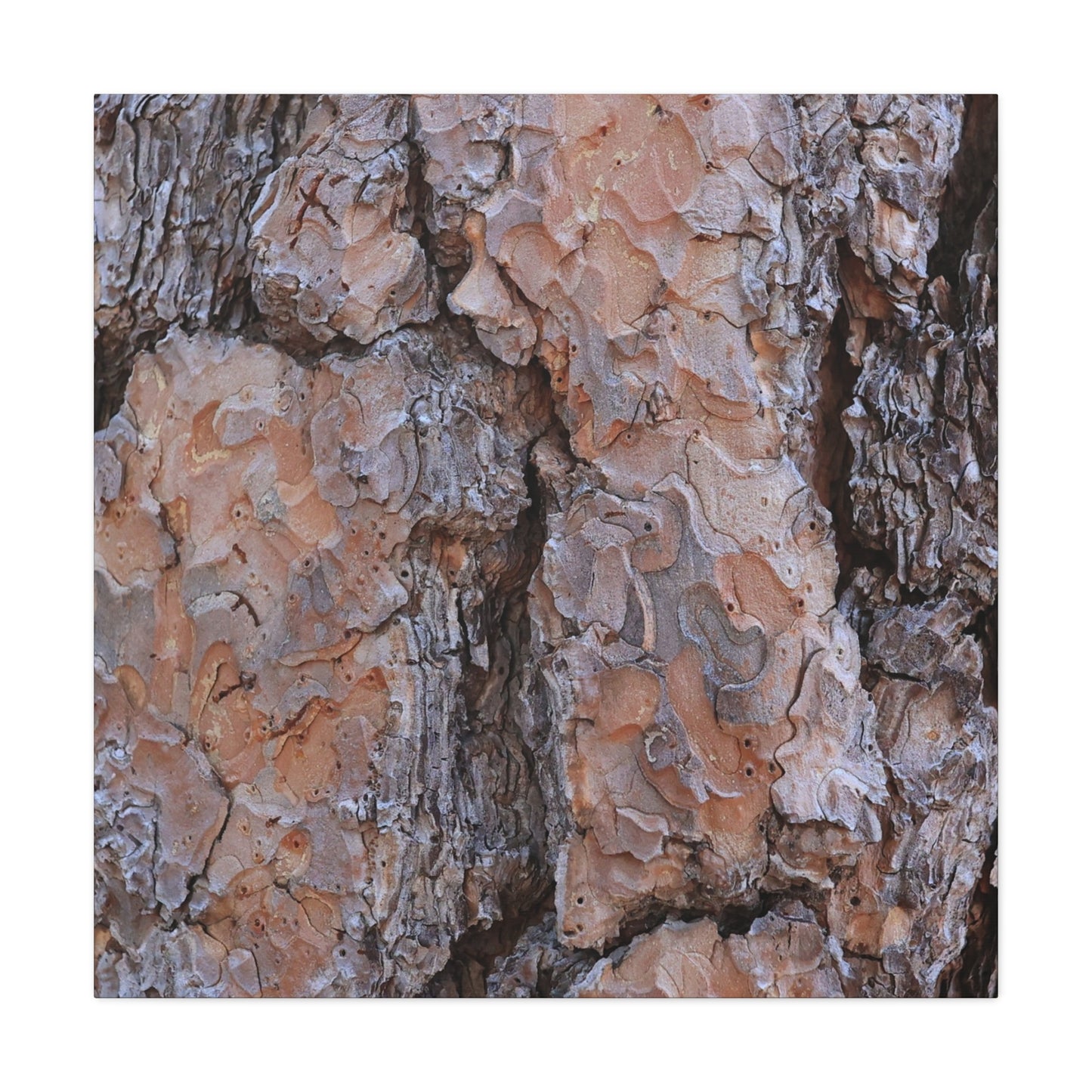 Arboreal Armor - Unique Frameless Canvas Wall Art