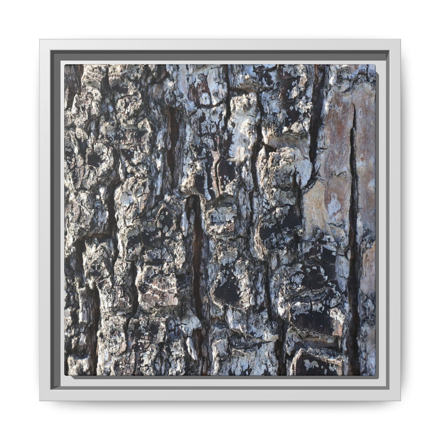The Bark Chronicles - Unique Stretched Canvas Wall Art