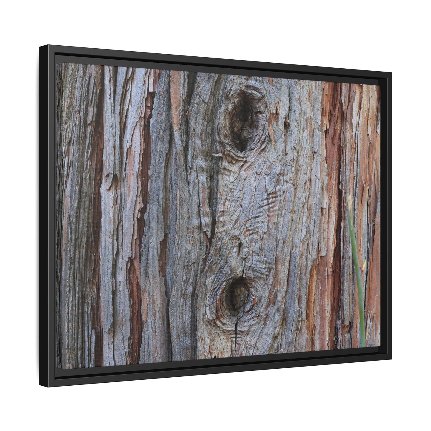 Knotty Nature - Unique Stretched Canvas Wall Art