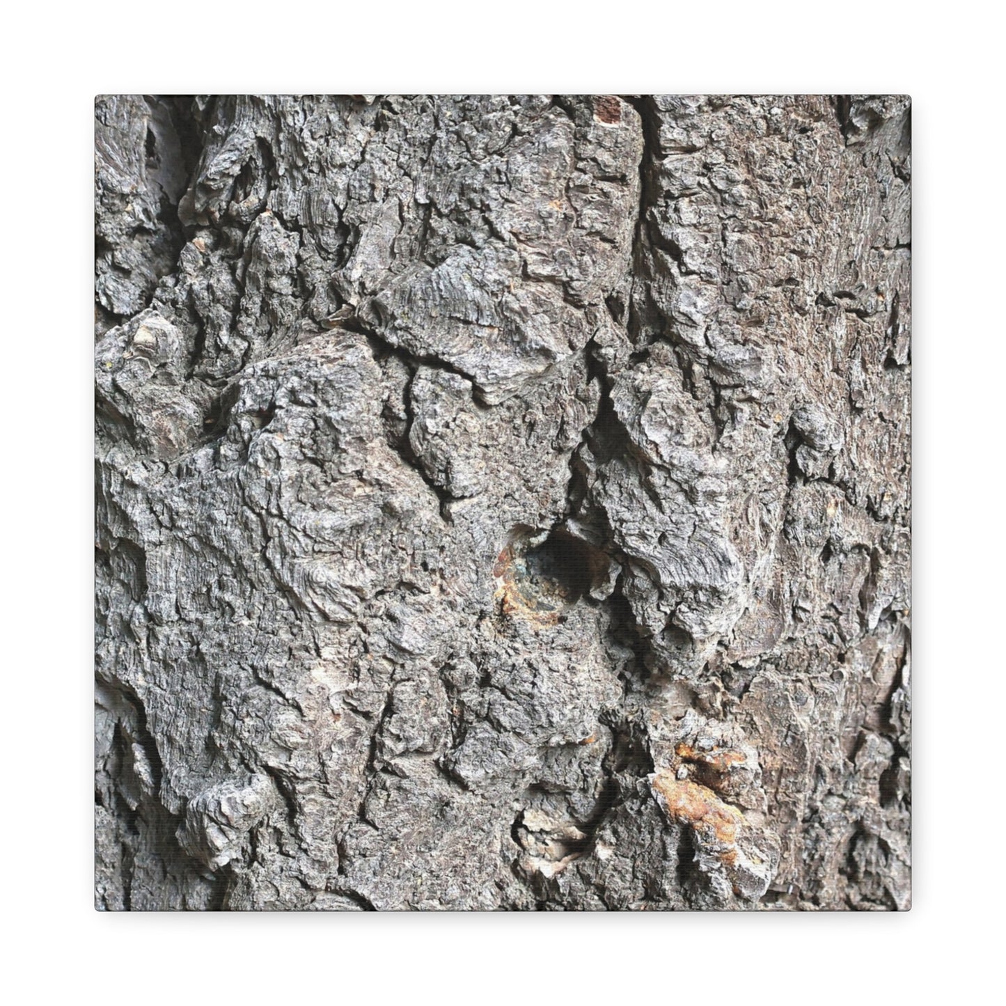 Elemental Canvas - Unique Frameless Canvas Wall Art