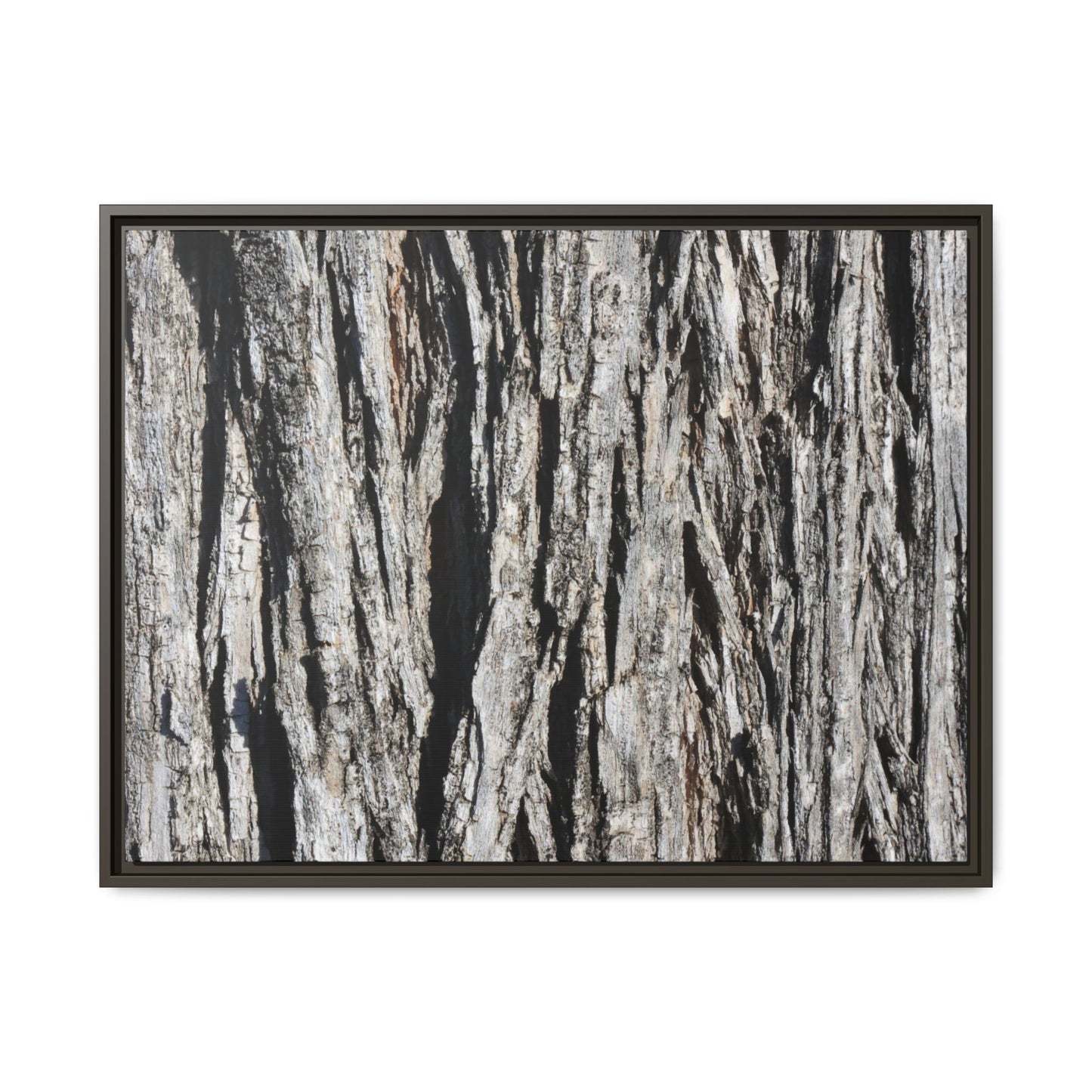 Bark Lines - Unique Stretched Canvas Wall Art