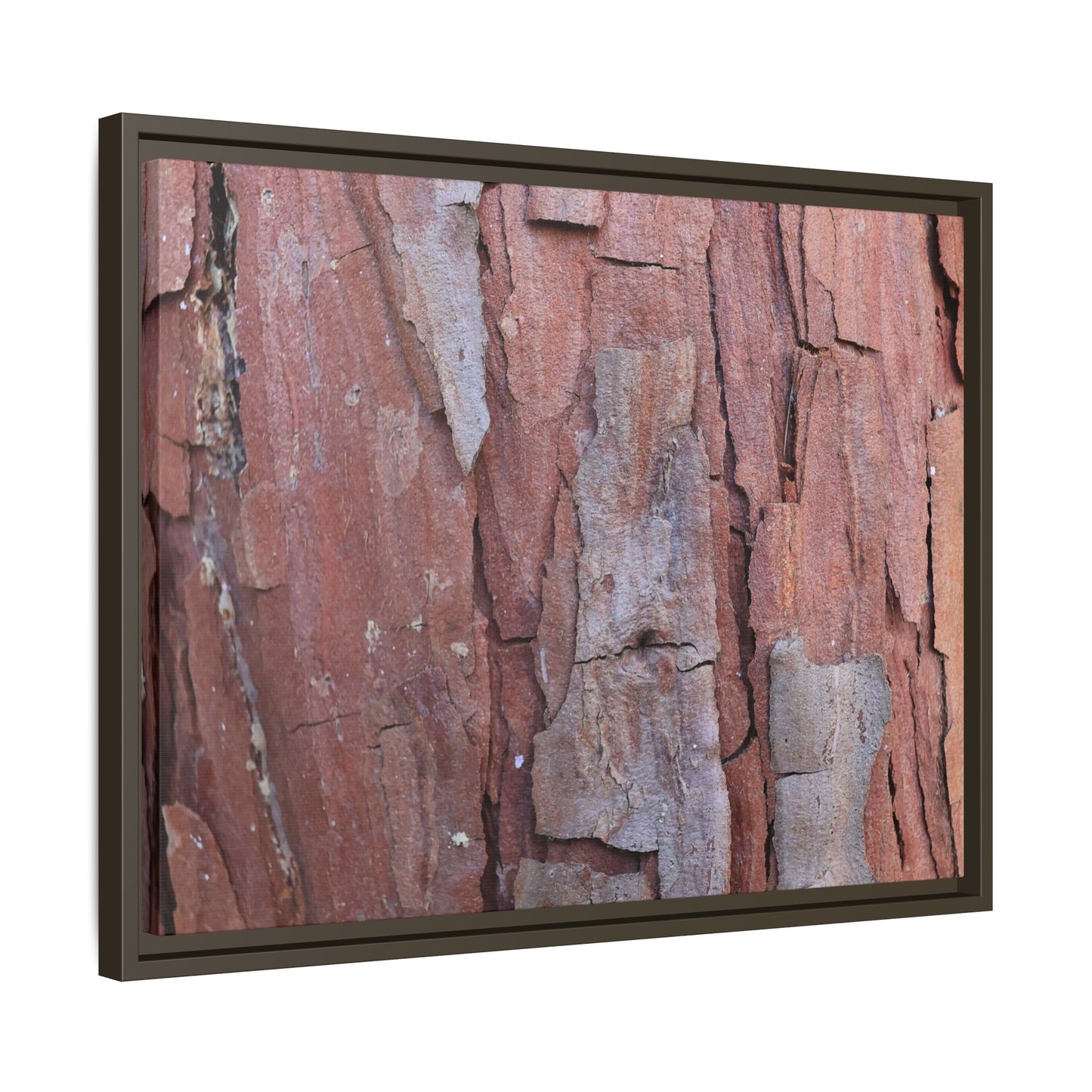 Peeling Bark - Unique Stretched Canvas Wall Art