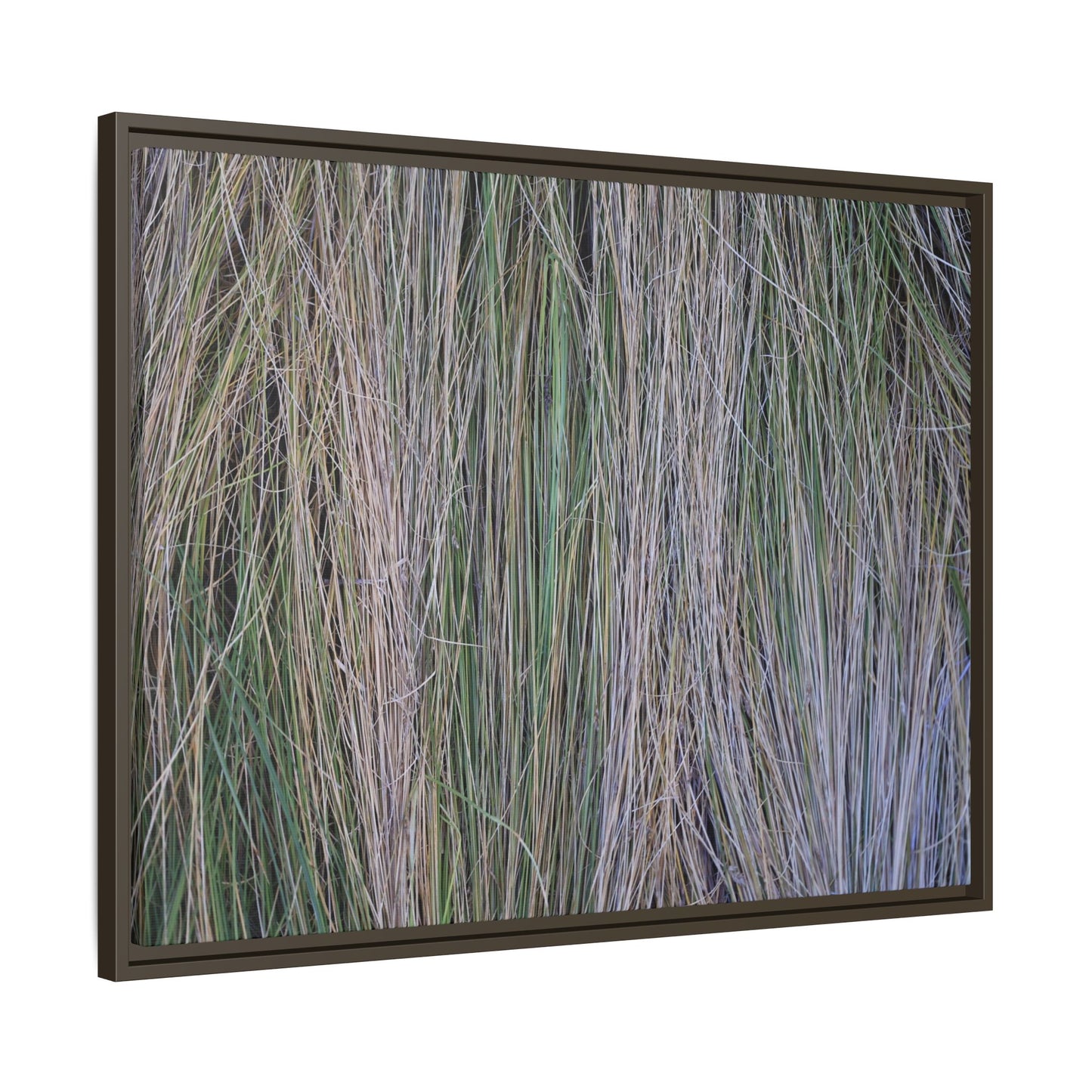 Whispers of Silver Grass - Unique Stretched Canvas Wall Art