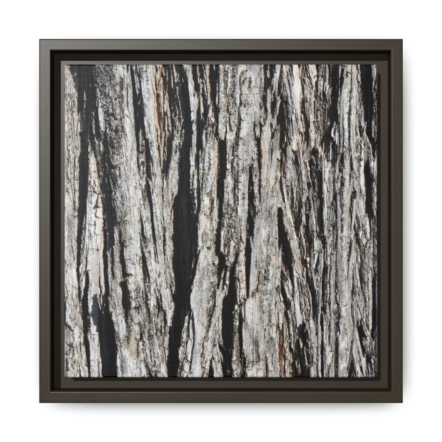 Bark Lines - Unique Stretched Canvas Wall Art