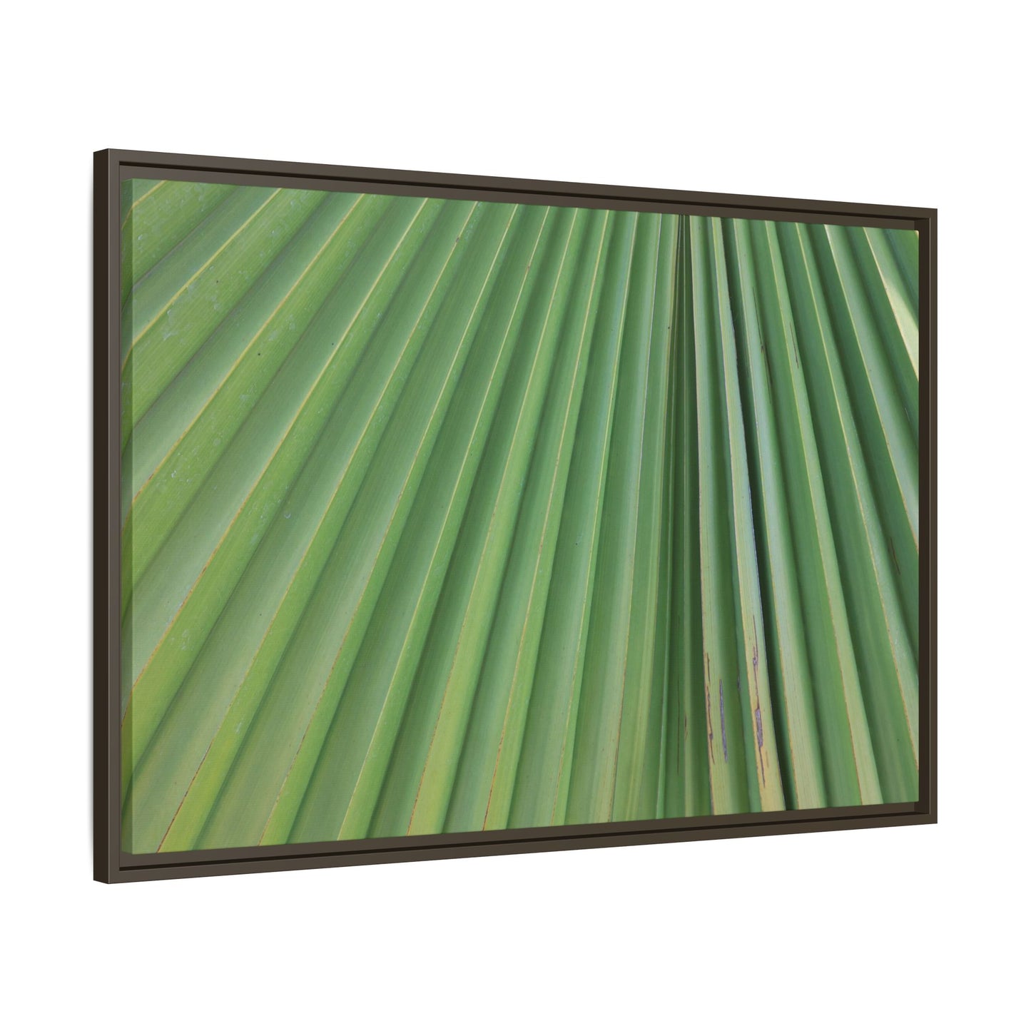 Emerald Rays - Unique Stretched Canvas Wall Art