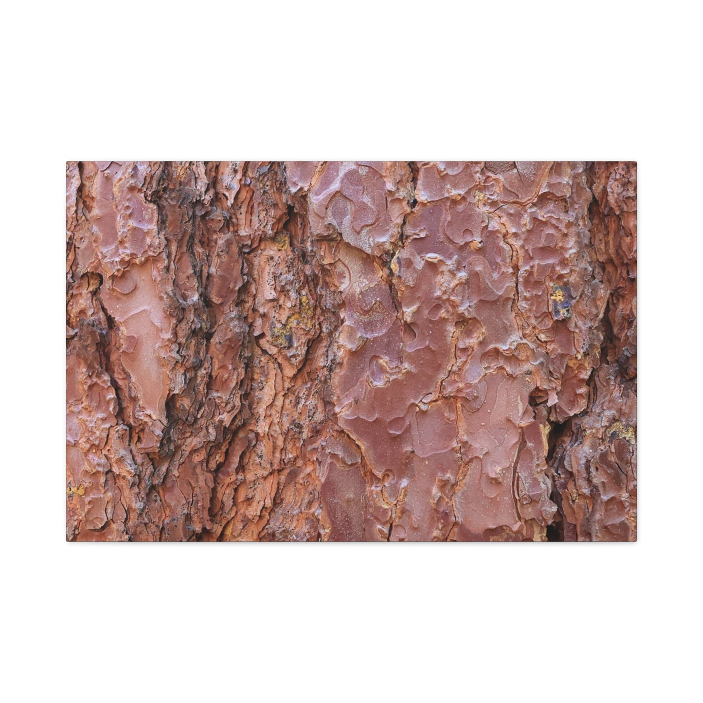 Rusty Textures - Unique Frameless Canvas Wall Art