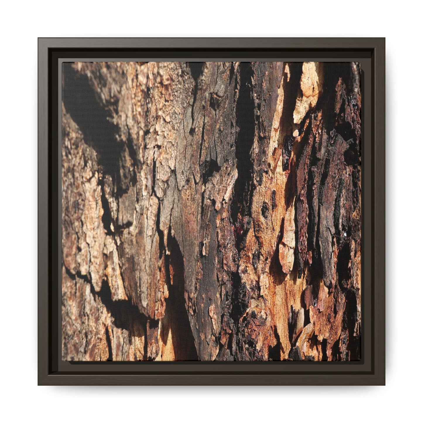 Rugged Beauty - Unique Stretched Canvas Wall Art