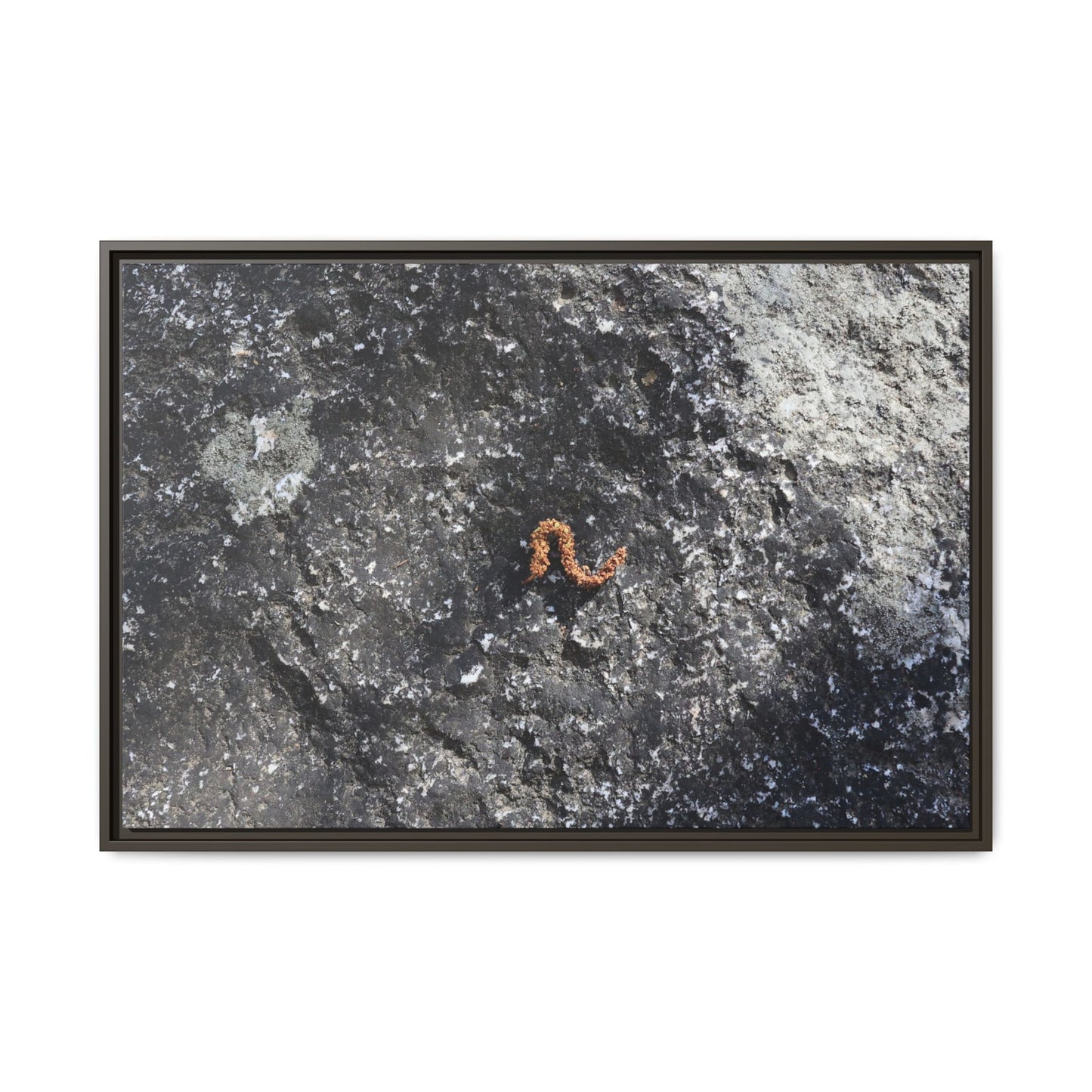 Volcanic Ash and Copper - Unique Stretched Canvas Wall Art