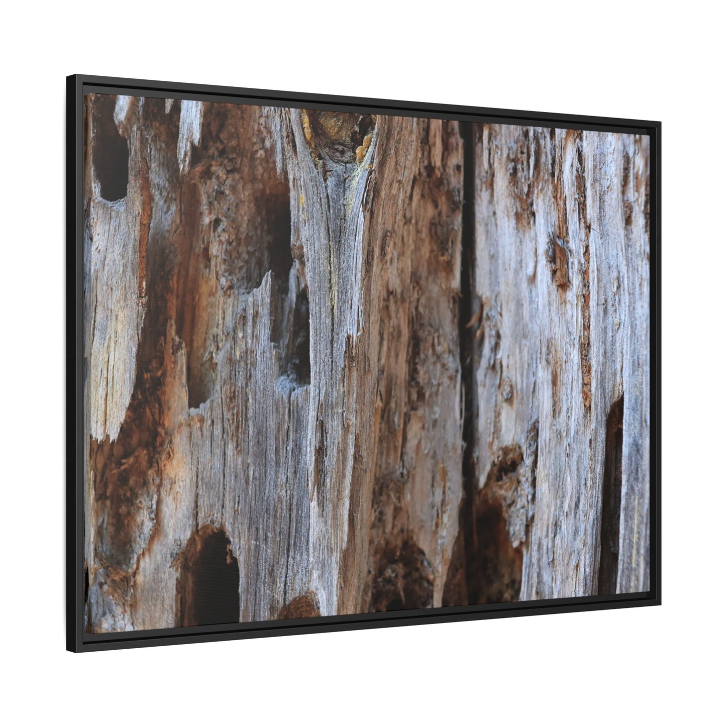 Decaying Splendor - Unique Stretched Canvas Wall Art