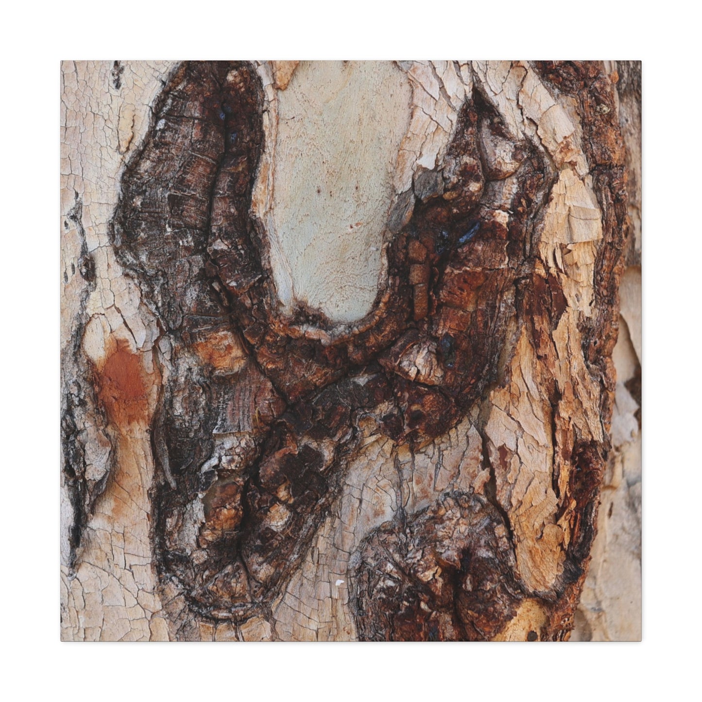 Arboreal Echoes - Unique Frameless Canvas Wall Art
