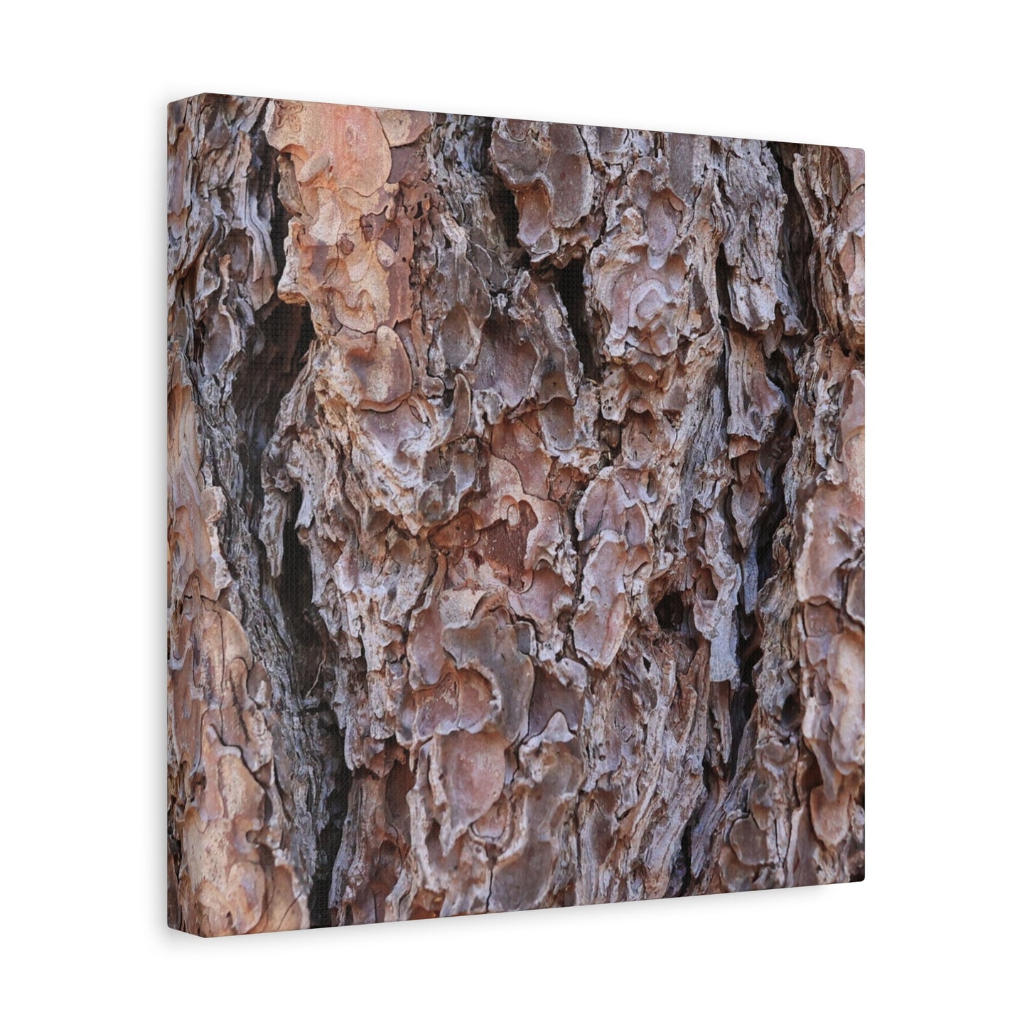Rough Canvas - Unique Frameless Canvas Wall Art