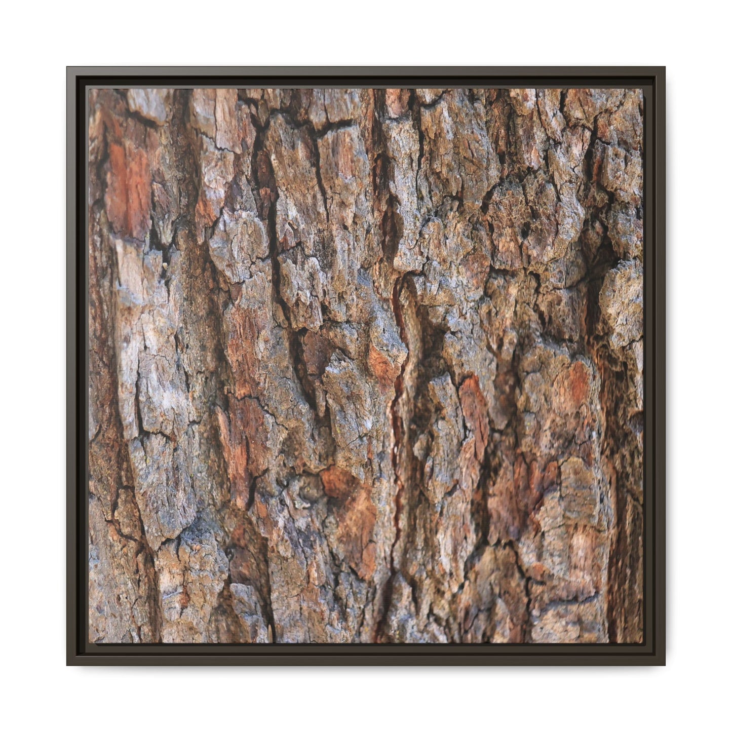 Tree's Timeworn Tale - Unique Stretched Canvas Wall Art