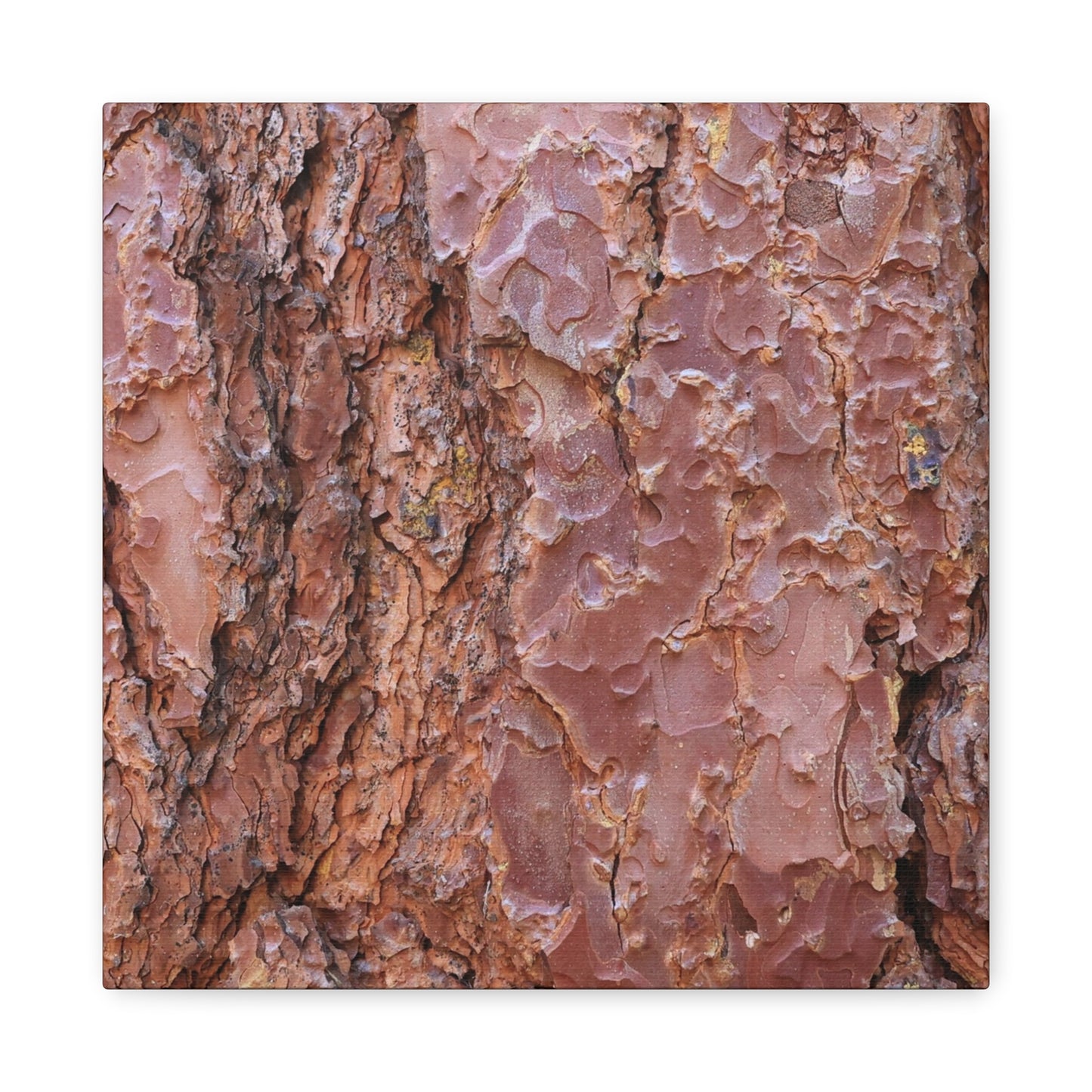 Rusty Textures - Unique Frameless Canvas Wall Art