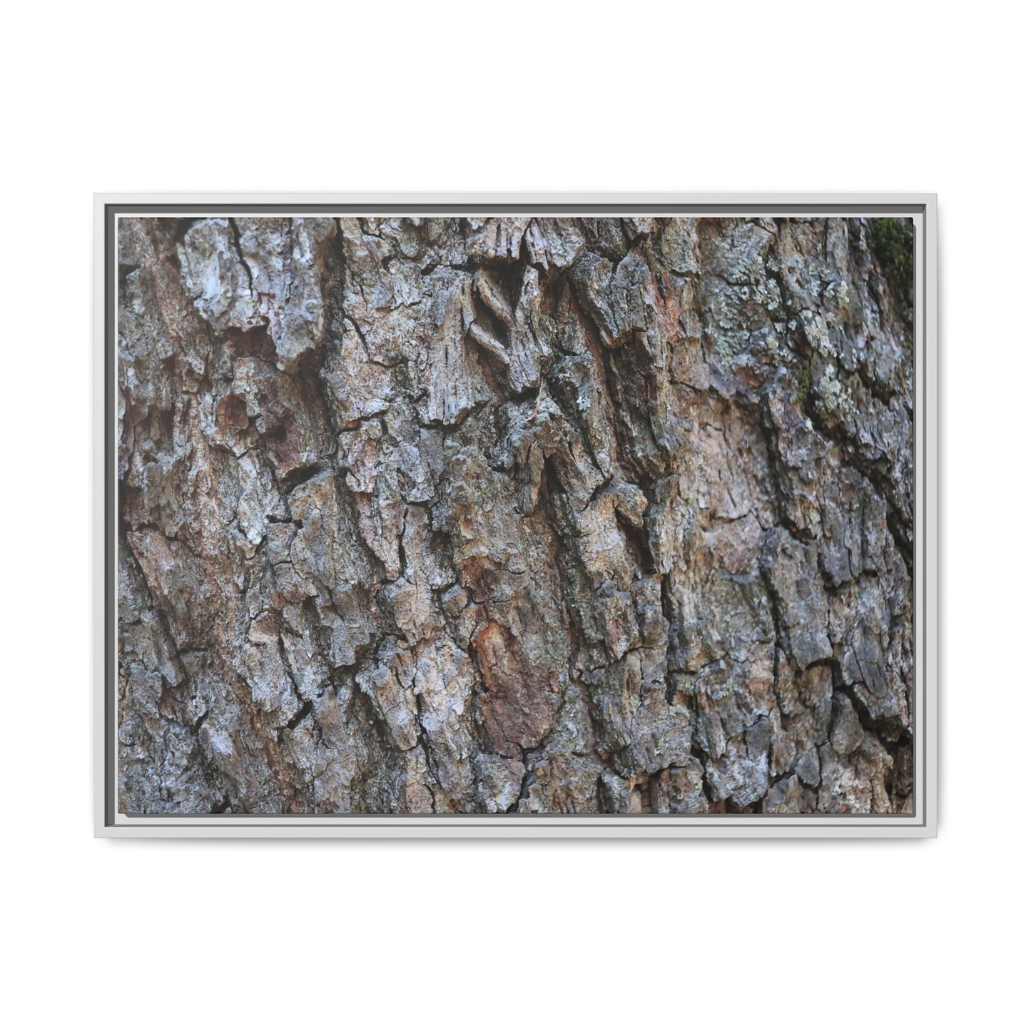 Woodland Skin - Unique Stretched Canvas Wall Art