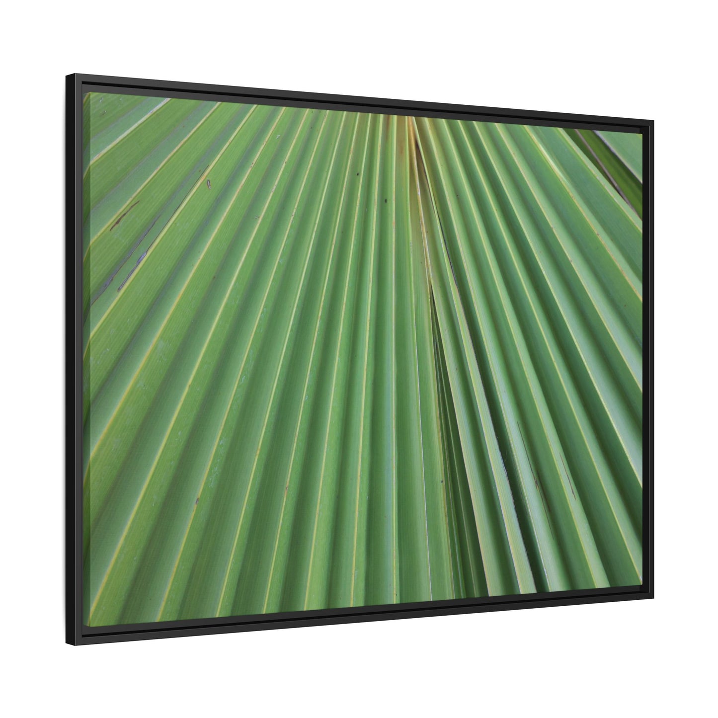 Verdant Veins - Unique Stretched Canvas Wall Art