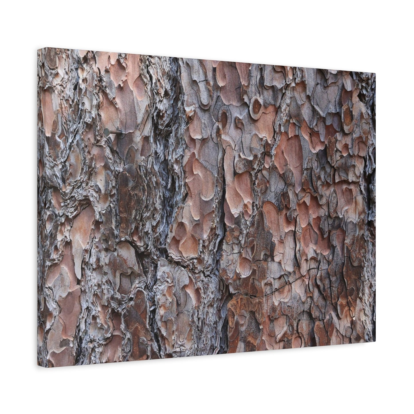 Woodland Armor - Unique Frameless Canvas Wall Art
