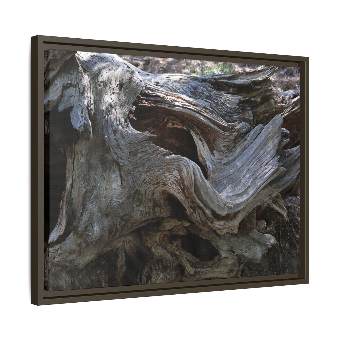 Twisted Memories - Unique Stretched Canvas Wall Art
