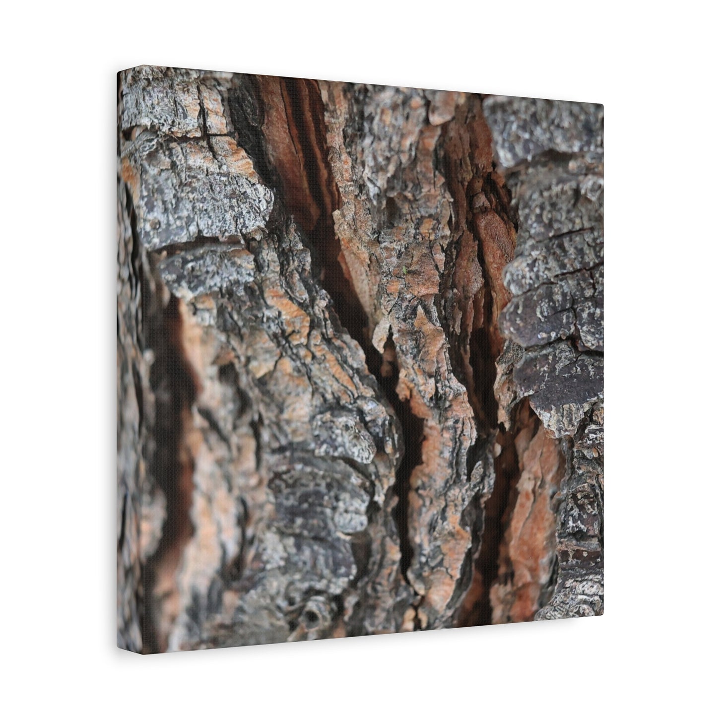 Rough Whispers - Unique Frameless Canvas Wall Art