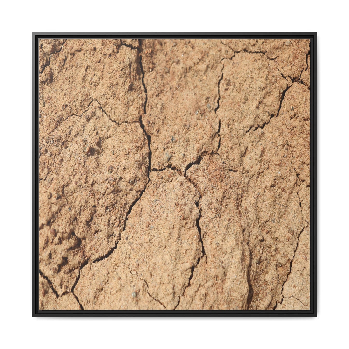 Parched Land - Unique Stretched Canvas Wall Art