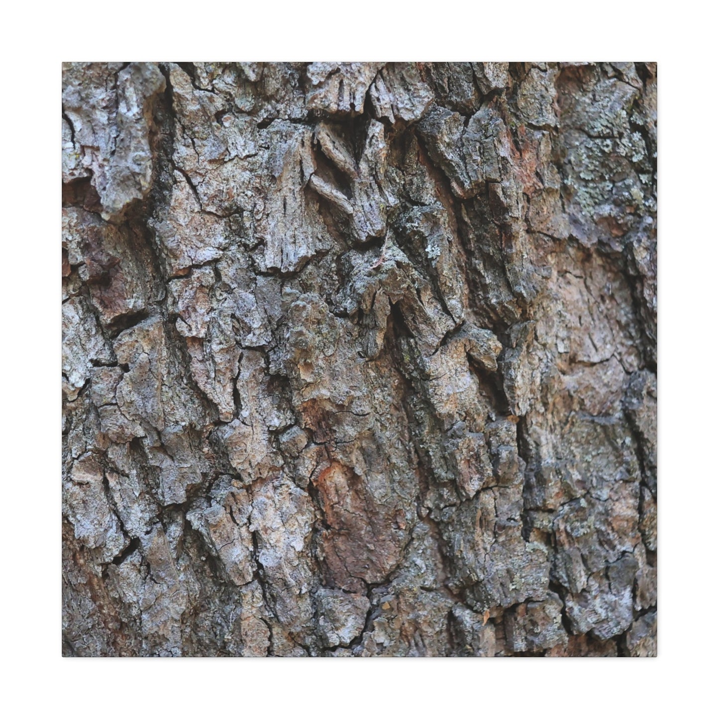 Rugged Canvas - Unique Frameless Canvas Wall Art
